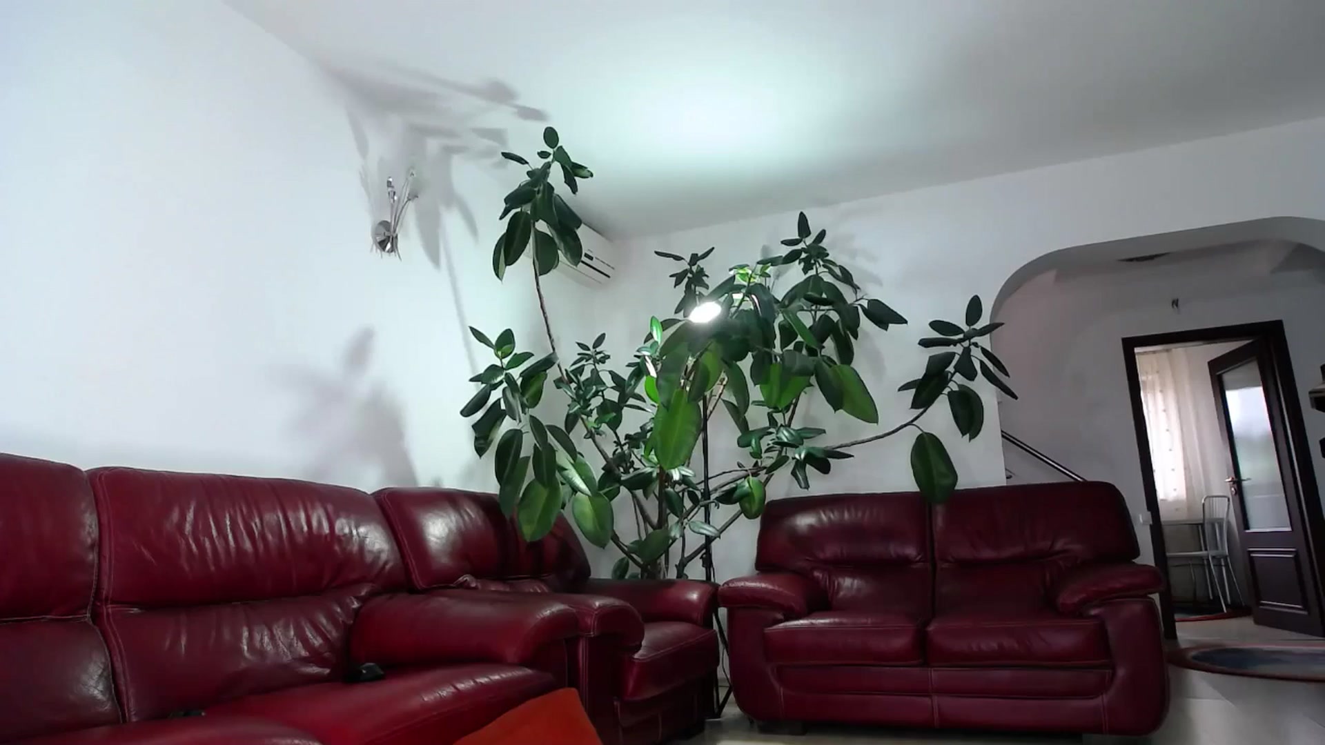 Gallery image thumbnail from Alicia_beggs's myfreecams stream on, 09/12/2024, 08:51 image 14 of 20