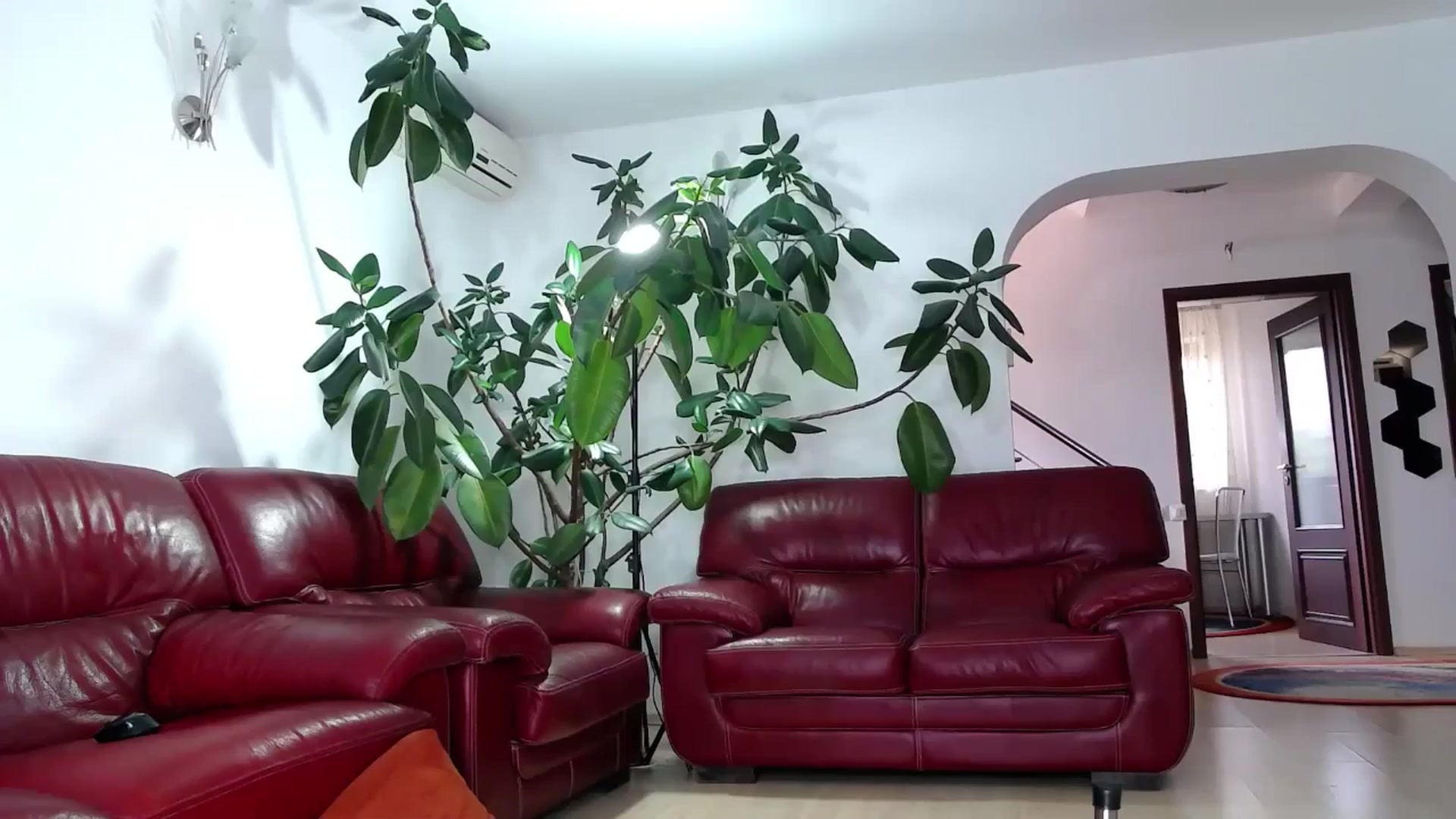 Gallery image thumbnail from Alicia_beggs's myfreecams stream on, 09/13/2024, 09:32 image 1 of 20