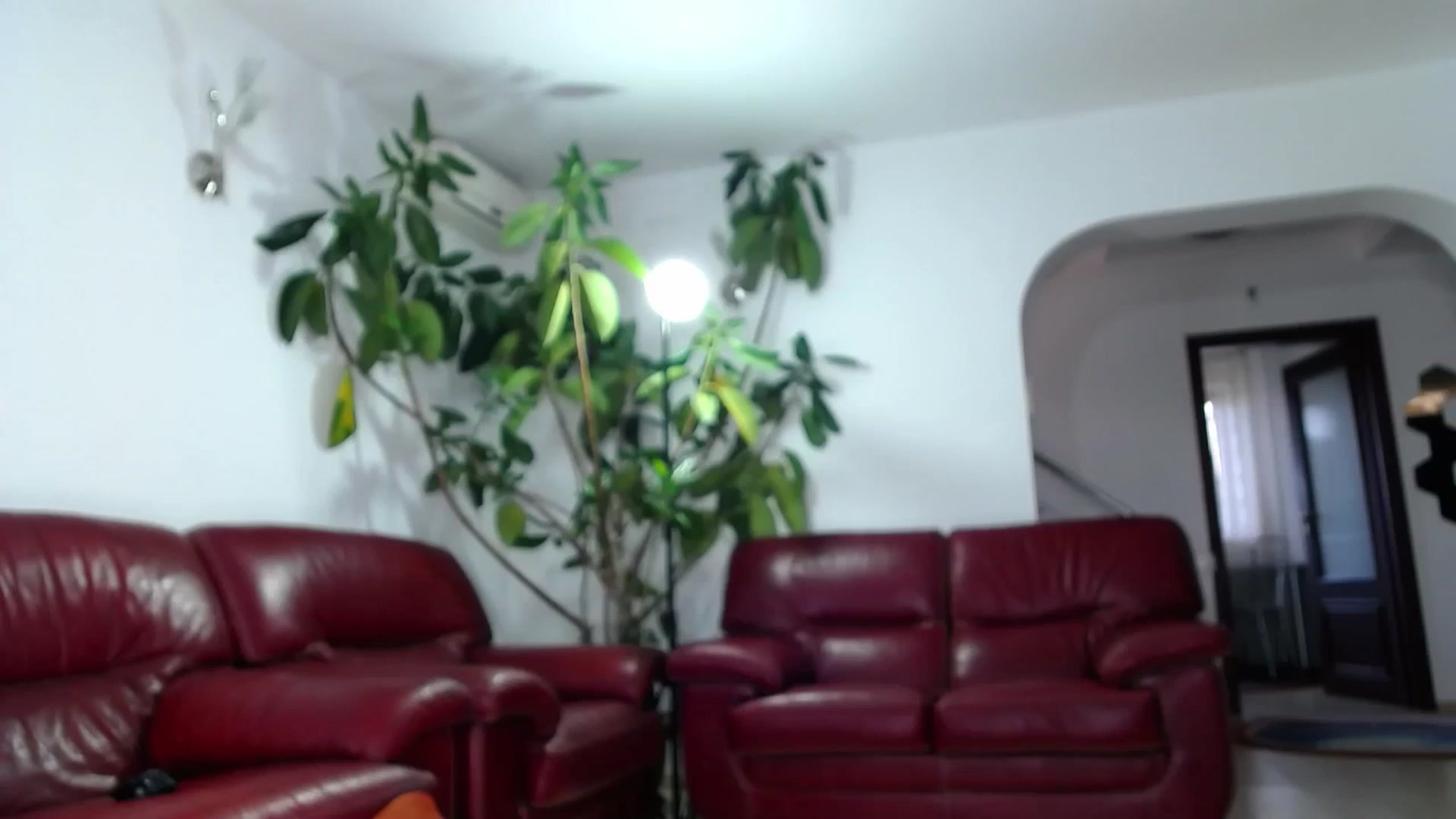 Gallery image thumbnail from Alicia_beggs's myfreecams stream on, 10/14/2024, 11:10 image 17 of 20