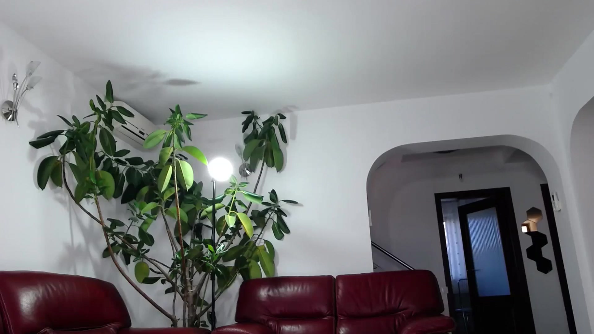 Gallery image thumbnail from Alicia_beggs's myfreecams stream on, 10/17/2024, 10:57 image 20 of 20