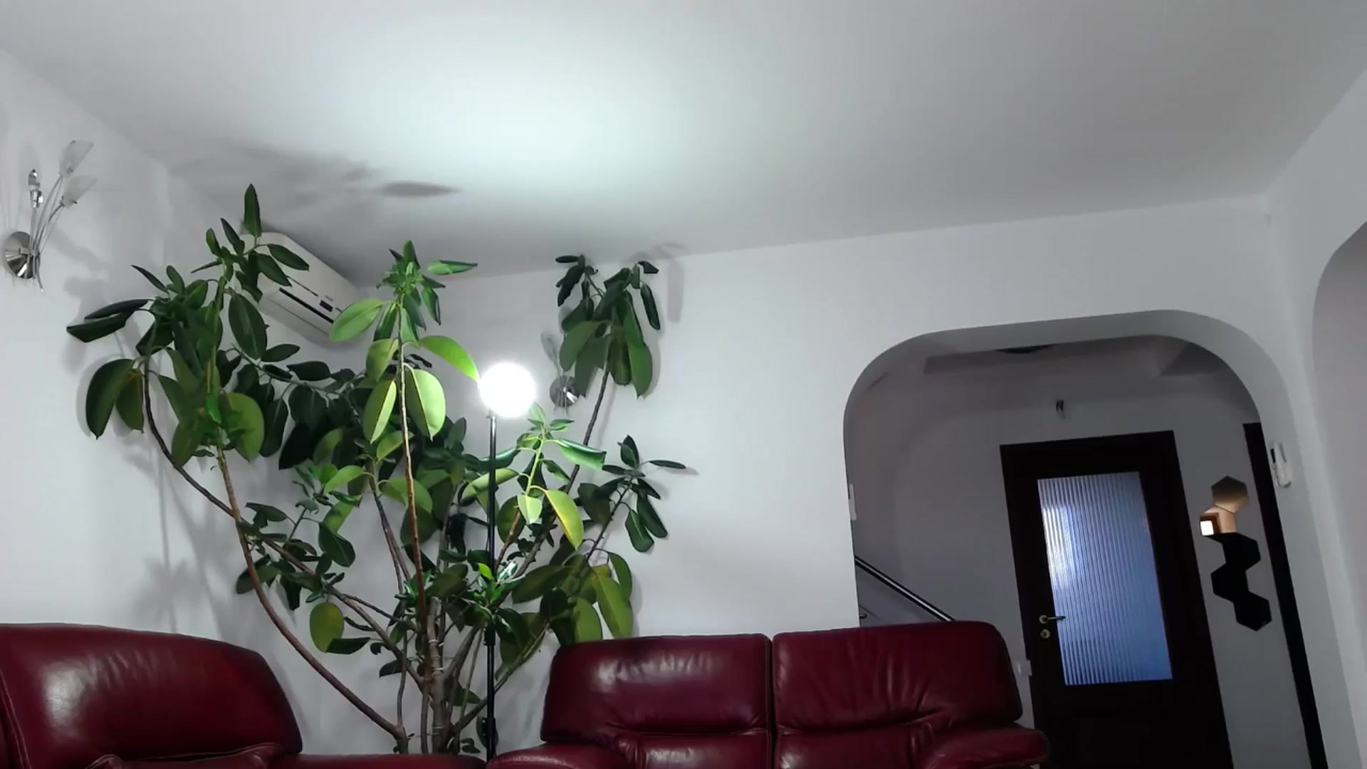 Gallery image thumbnail from Alicia_beggs's myfreecams stream on, 10/17/2024, 10:57 image 19 of 20