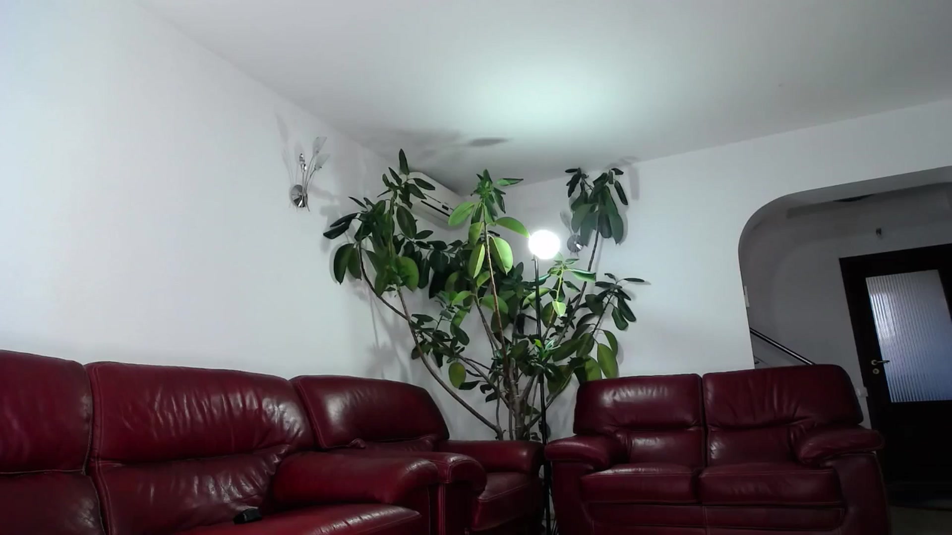 Gallery image thumbnail from Alicia_beggs's myfreecams stream on, 10/29/2024, 11:34 image 5 of 20