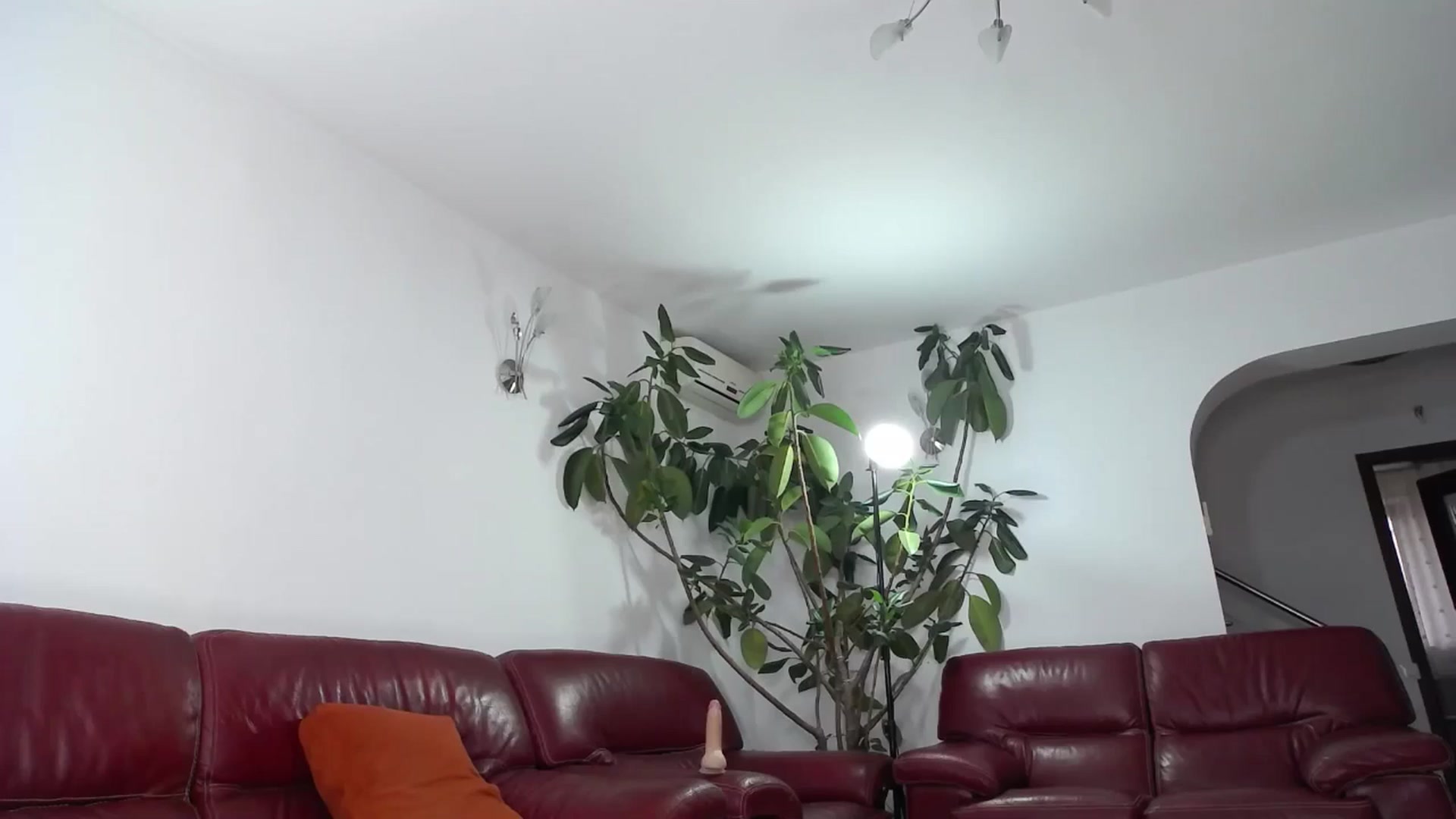 Gallery image thumbnail from Alicia_beggs's myfreecams stream on, 11/11/2024, 12:02 image 17 of 20