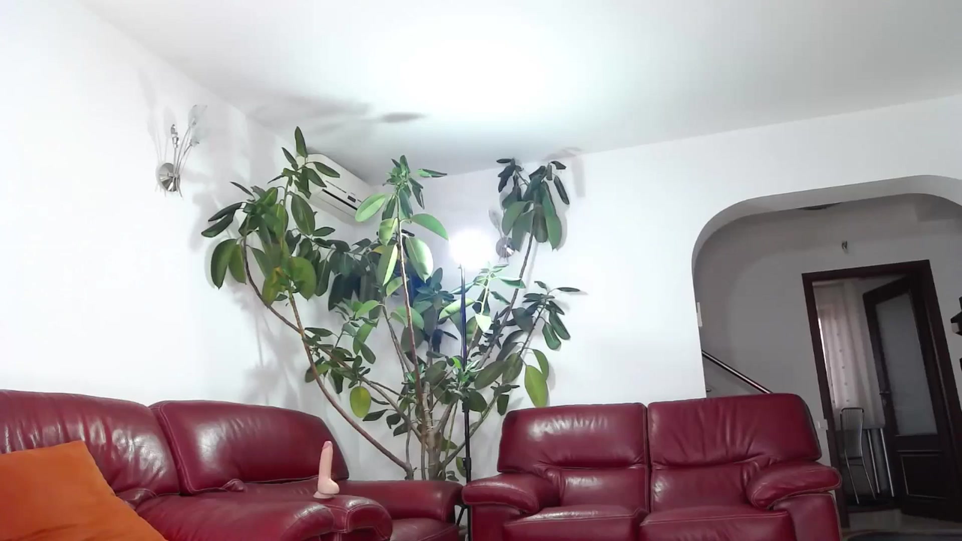 Gallery image thumbnail from Alicia_beggs's myfreecams stream on, 11/15/2024, 14:15 image 7 of 20