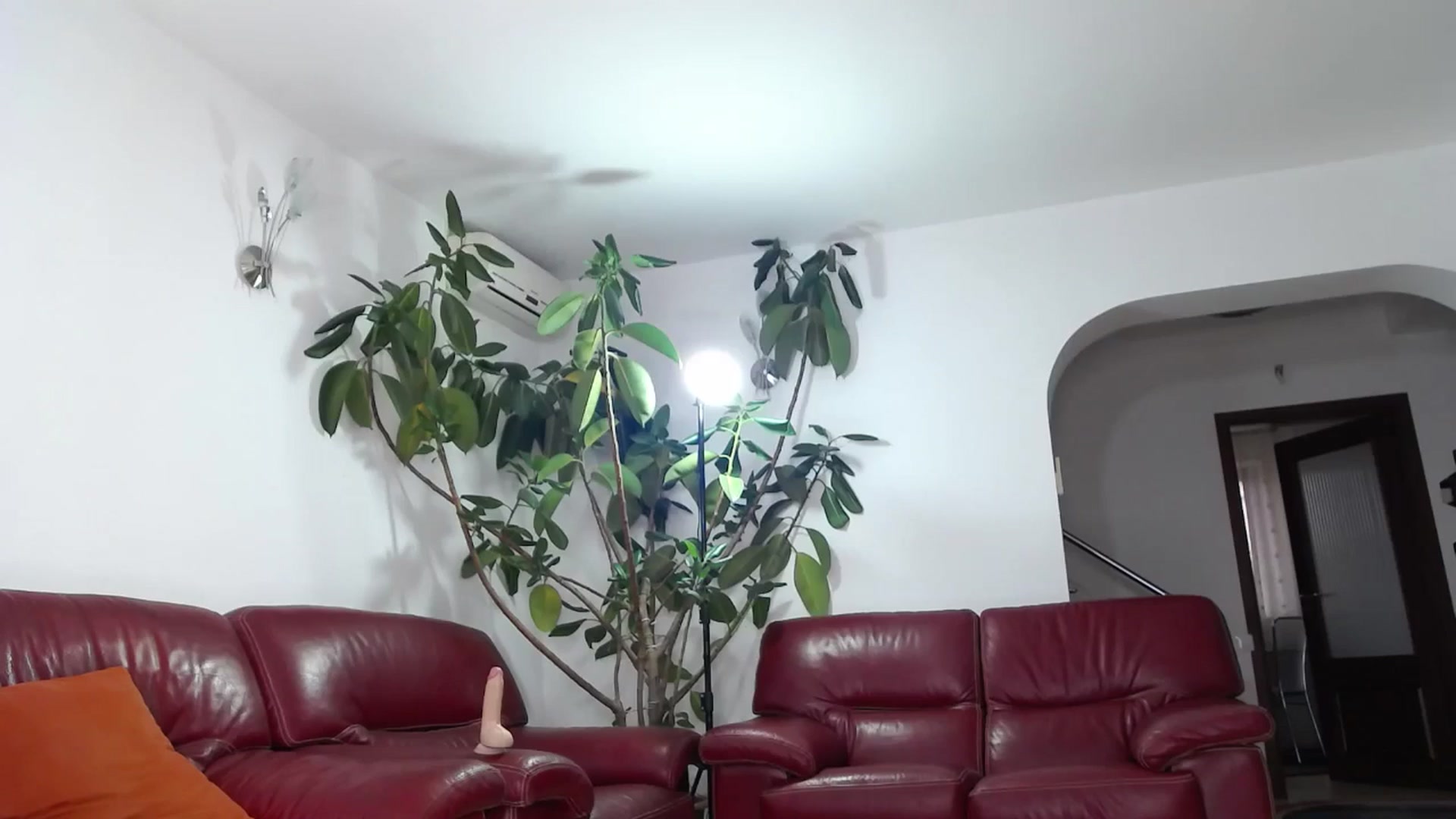 Gallery image thumbnail from Alicia_beggs's myfreecams stream on, 11/15/2024, 14:15 image 3 of 20