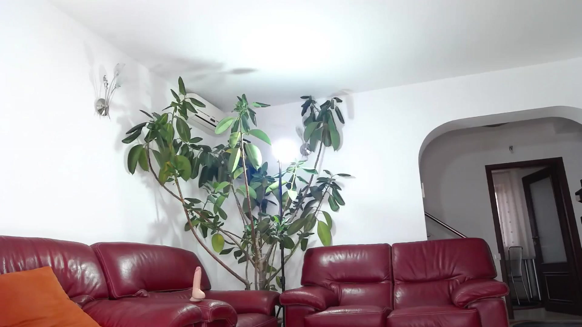 Gallery image thumbnail from Alicia_beggs's myfreecams stream on, 11/15/2024, 14:15 image 6 of 20