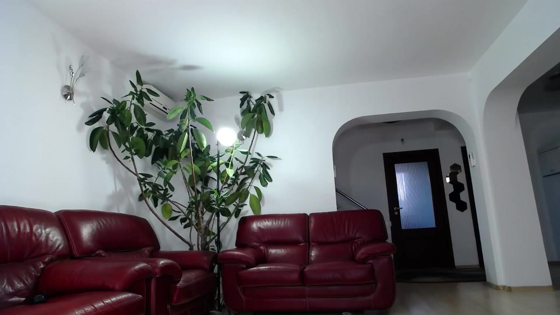 Gallery image thumbnail from Alicia_beggs's myfreecams stream on, 11/24/2024, 12:26 image 17 of 20
