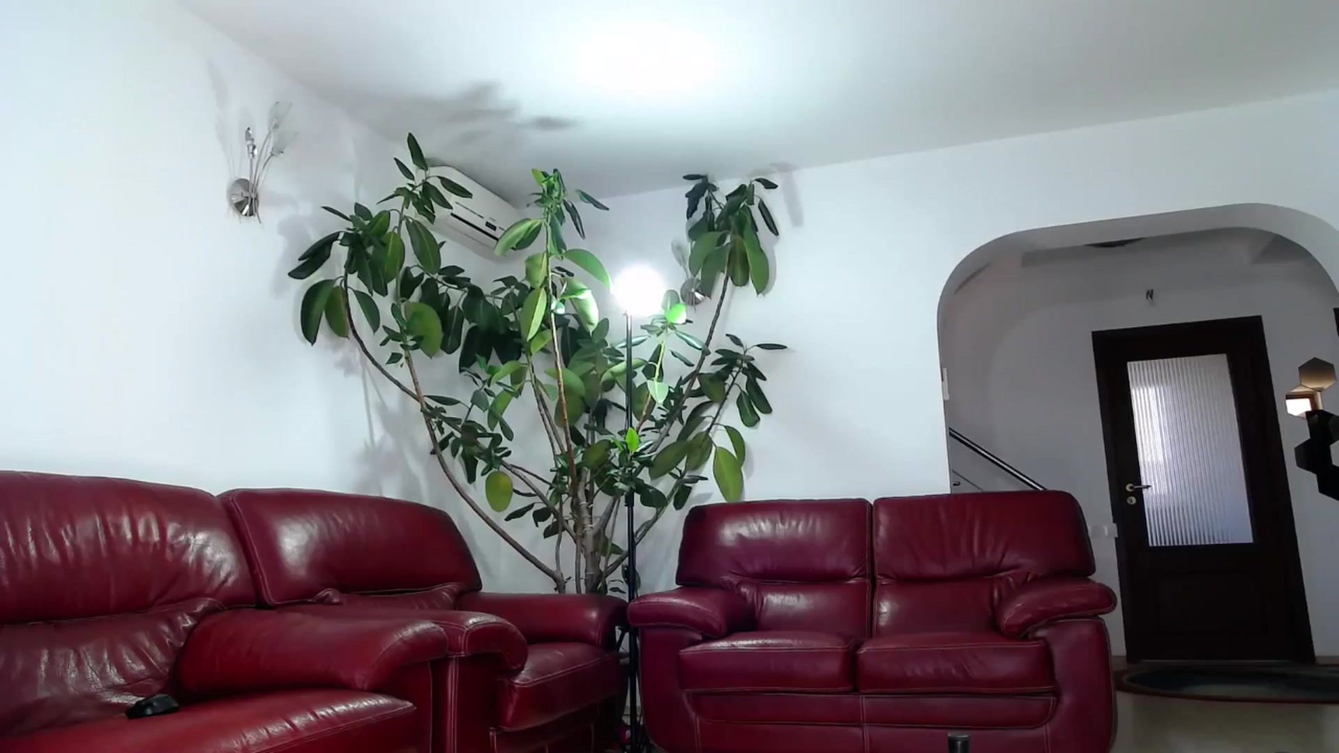 Gallery image thumbnail from Alicia_beggs's myfreecams stream on, 12/20/2024, 11:16 image 10 of 20