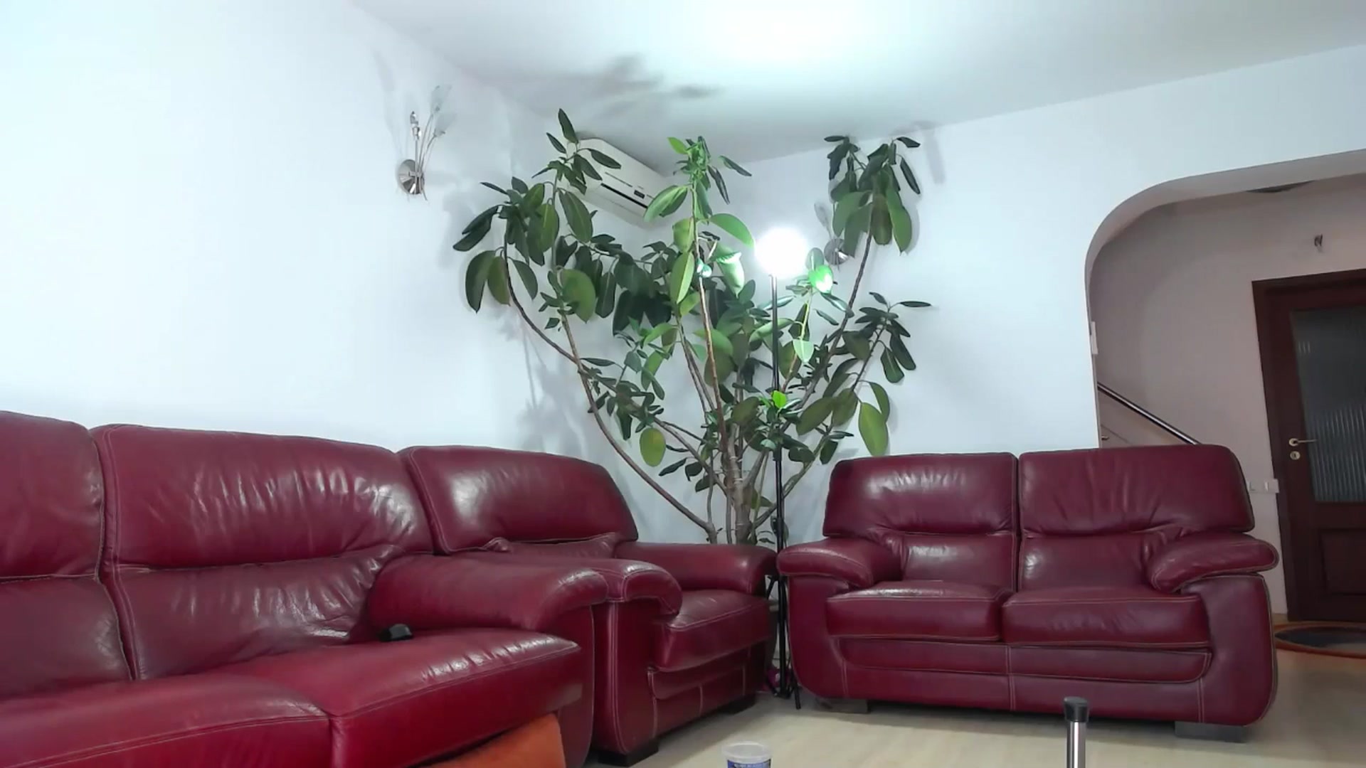 Gallery image thumbnail from Alicia_beggs's myfreecams stream on, 12/24/2024, 17:40 image 11 of 20