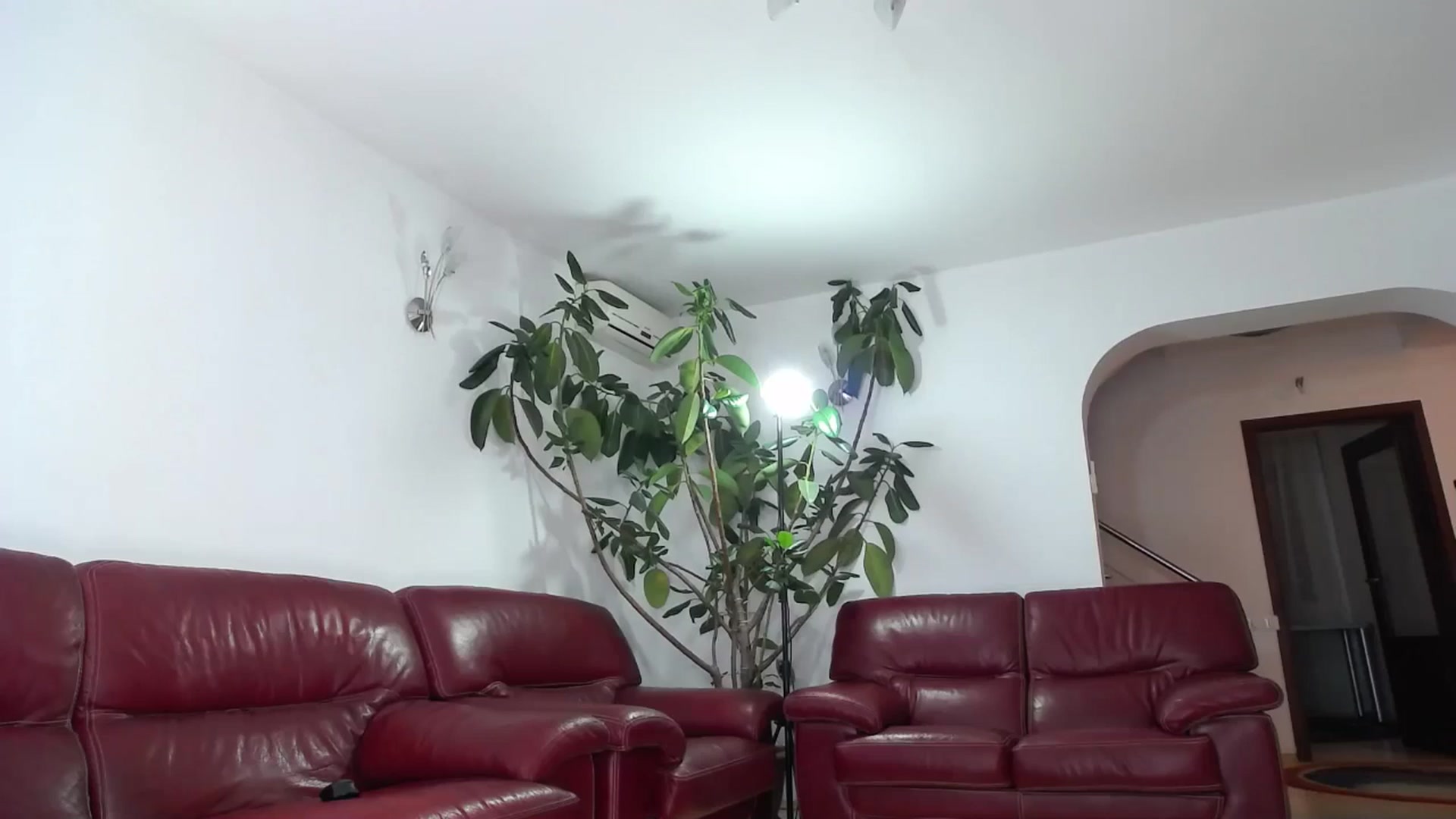 Gallery image thumbnail from Alicia_beggs's myfreecams stream on, 12/31/2024, 18:00 image 5 of 20
