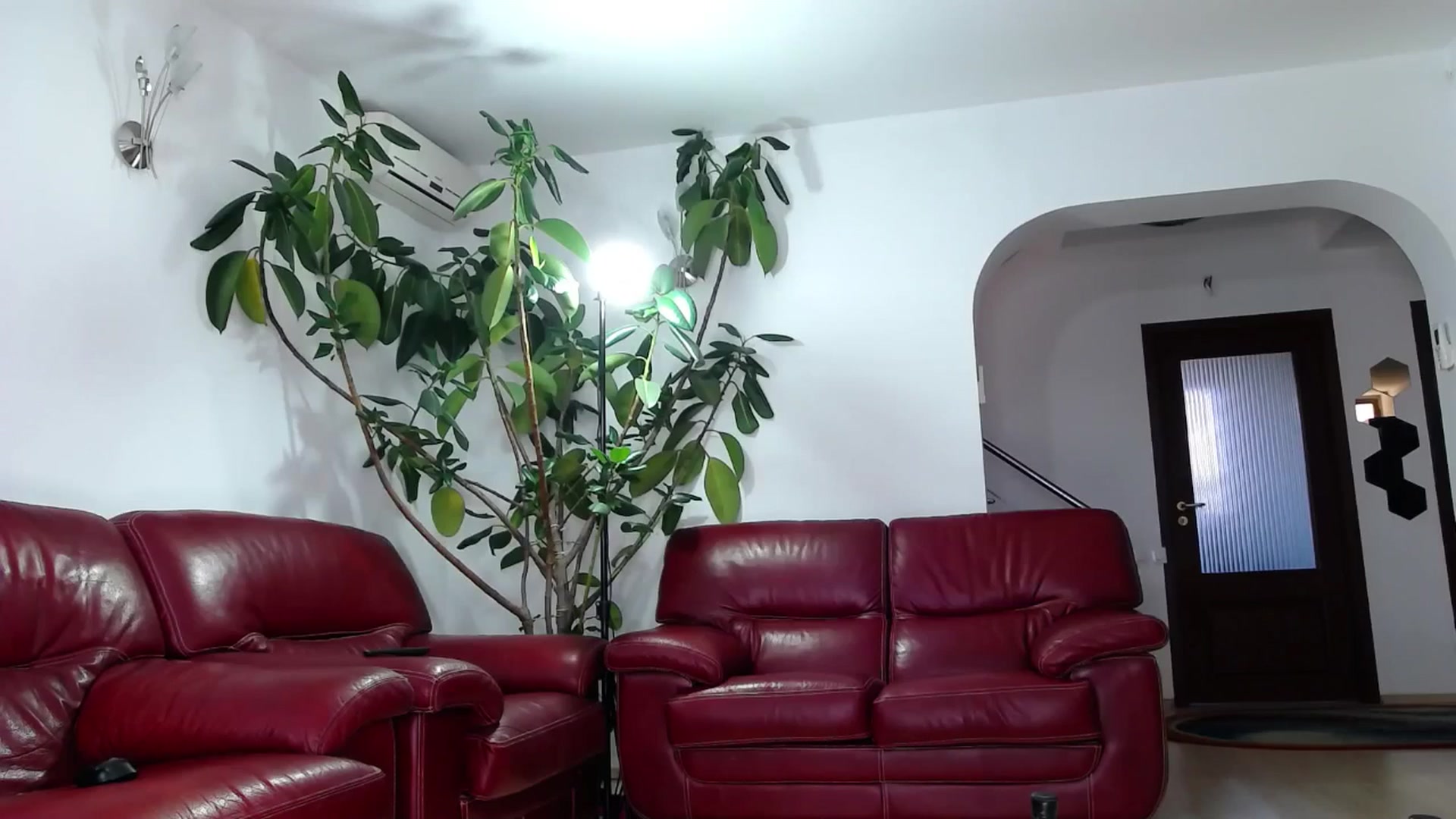 Gallery image thumbnail from Alicia_beggs's myfreecams stream on, 01/19/2025, 11:49 image 7 of 20