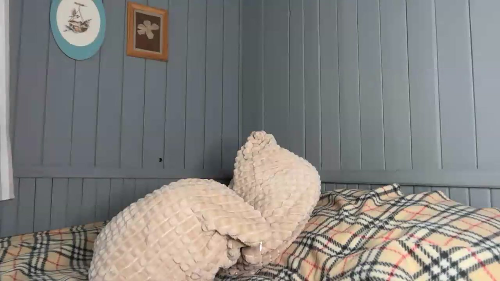 Gallery image thumbnail from Alielli's myfreecams stream on, 07/16/2026, 05:37 image 10 of 20