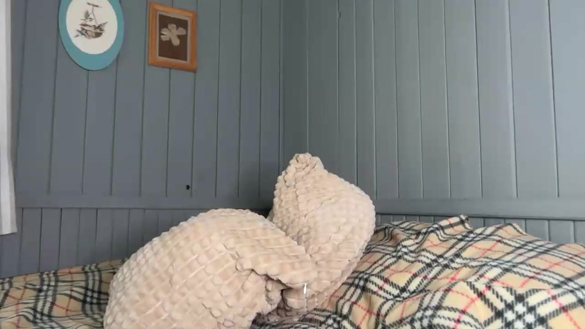 Gallery image thumbnail from Alielli's myfreecams stream on, 07/16/2026, 05:37 image 14 of 20