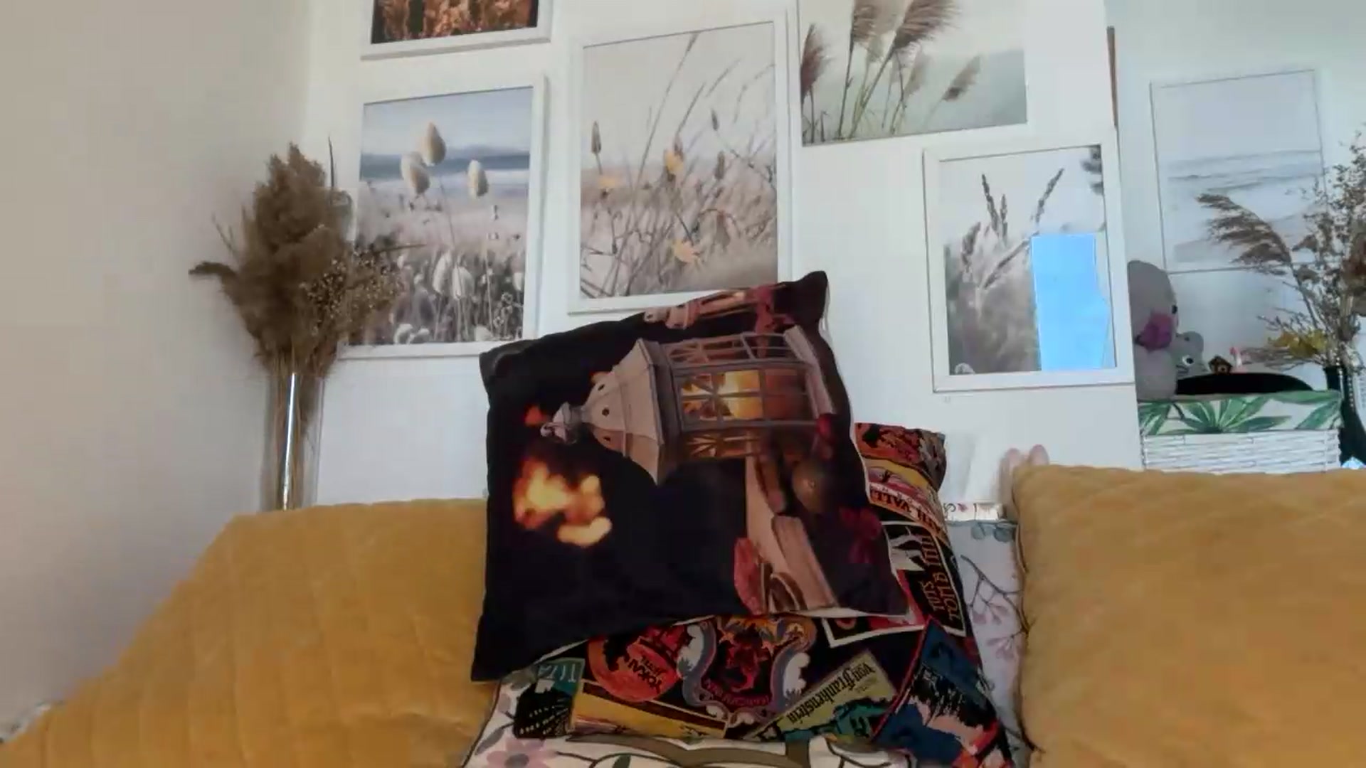 Gallery image thumbnail from Alielli's myfreecams stream on, 08/13/2026, 07:55 image 9 of 20