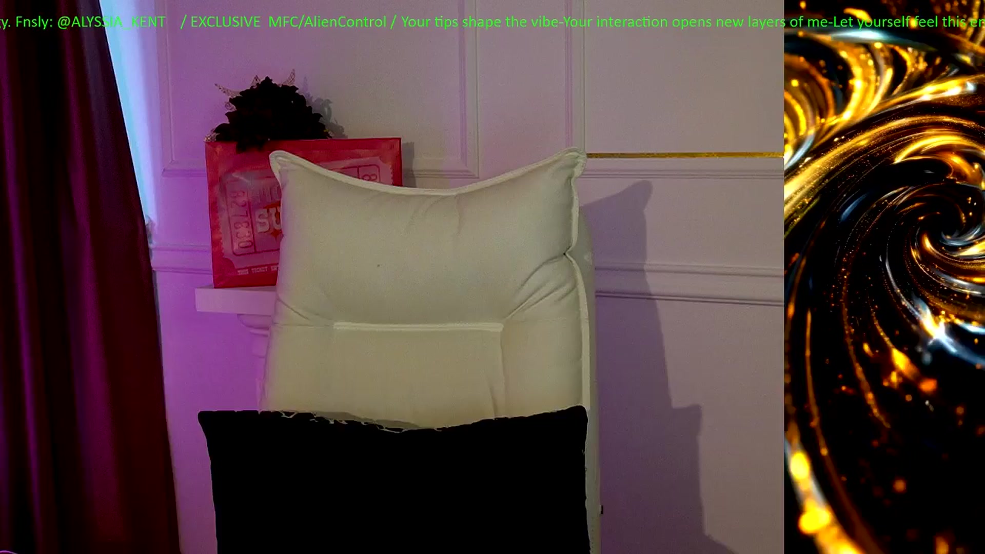 Gallery image thumbnail from AlienControl's myfreecams stream on, 01/11/2026, 14:07 image 16 of 20