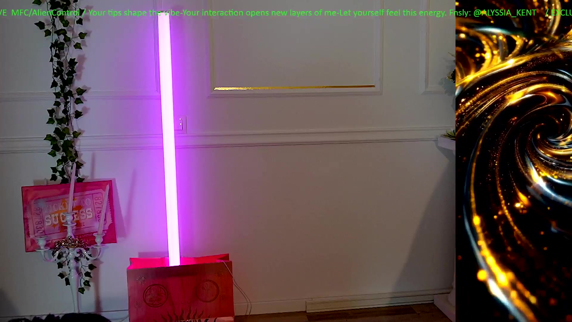 Gallery image thumbnail from AlienControl's myfreecams stream on, 02/01/2026, 18:19 image 10 of 20