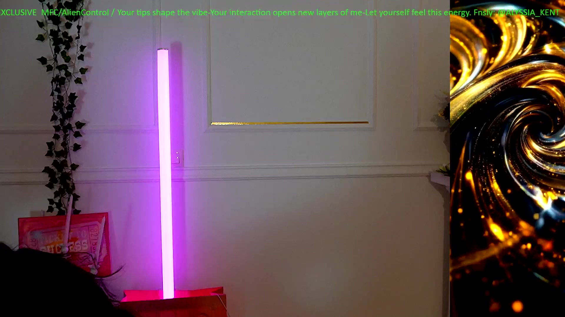 Gallery image thumbnail from AlienControl's myfreecams stream on, 02/01/2026, 18:19 image 13 of 20