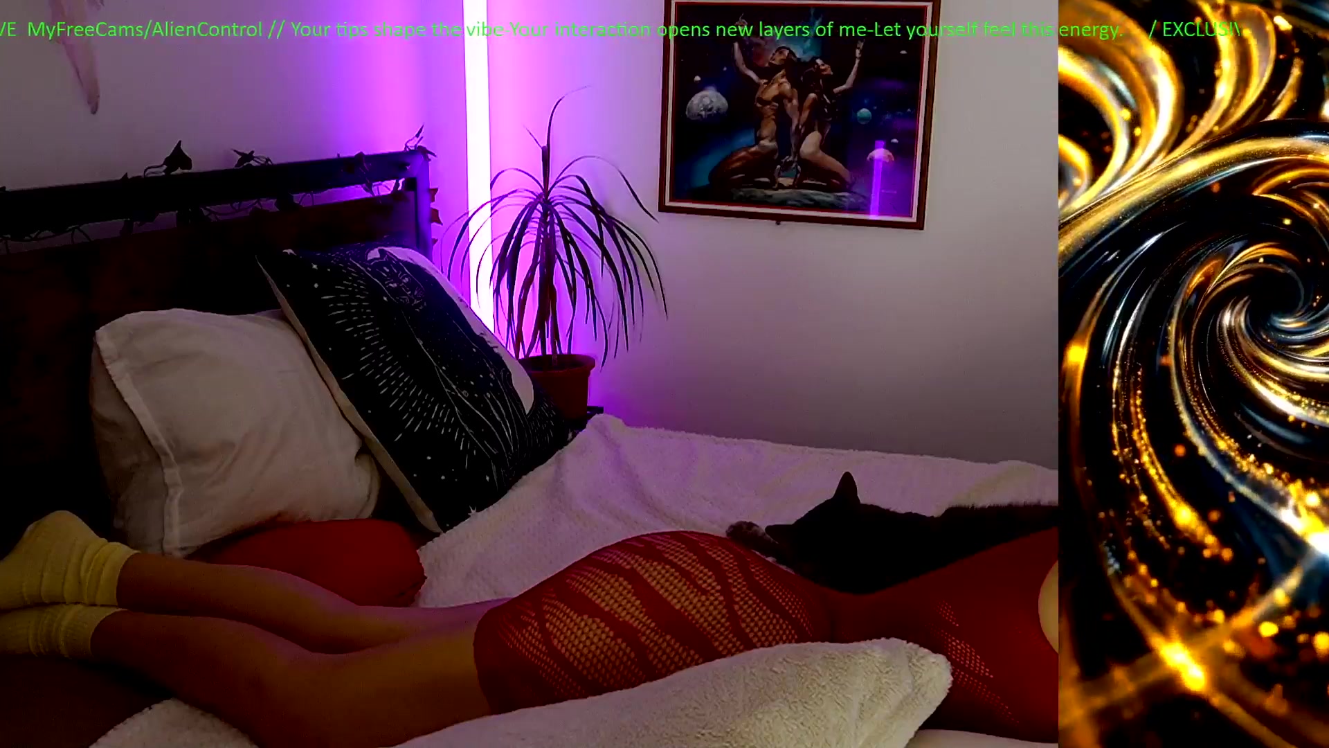 Gallery image thumbnail from AlienControl's myfreecams stream on, 02/13/2026, 15:59 image 16 of 20