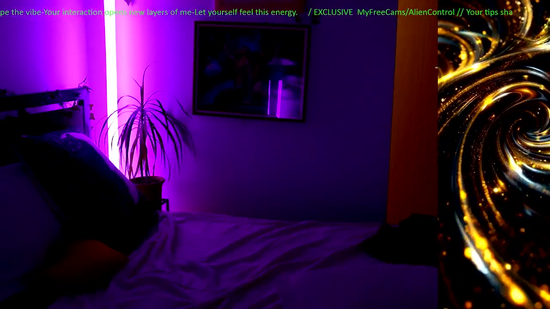 Gallery image thumbnail from AlienControl's myfreecams stream on, 02/13/2026, 20:03 image 18 of 20