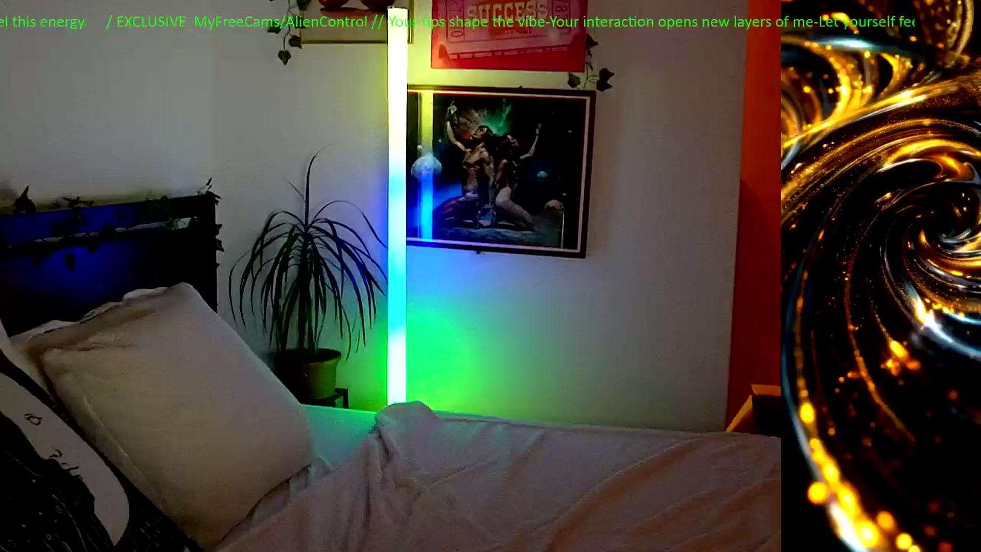 Gallery image thumbnail from AlienControl's myfreecams stream on, 02/19/2026, 21:02 image 8 of 20