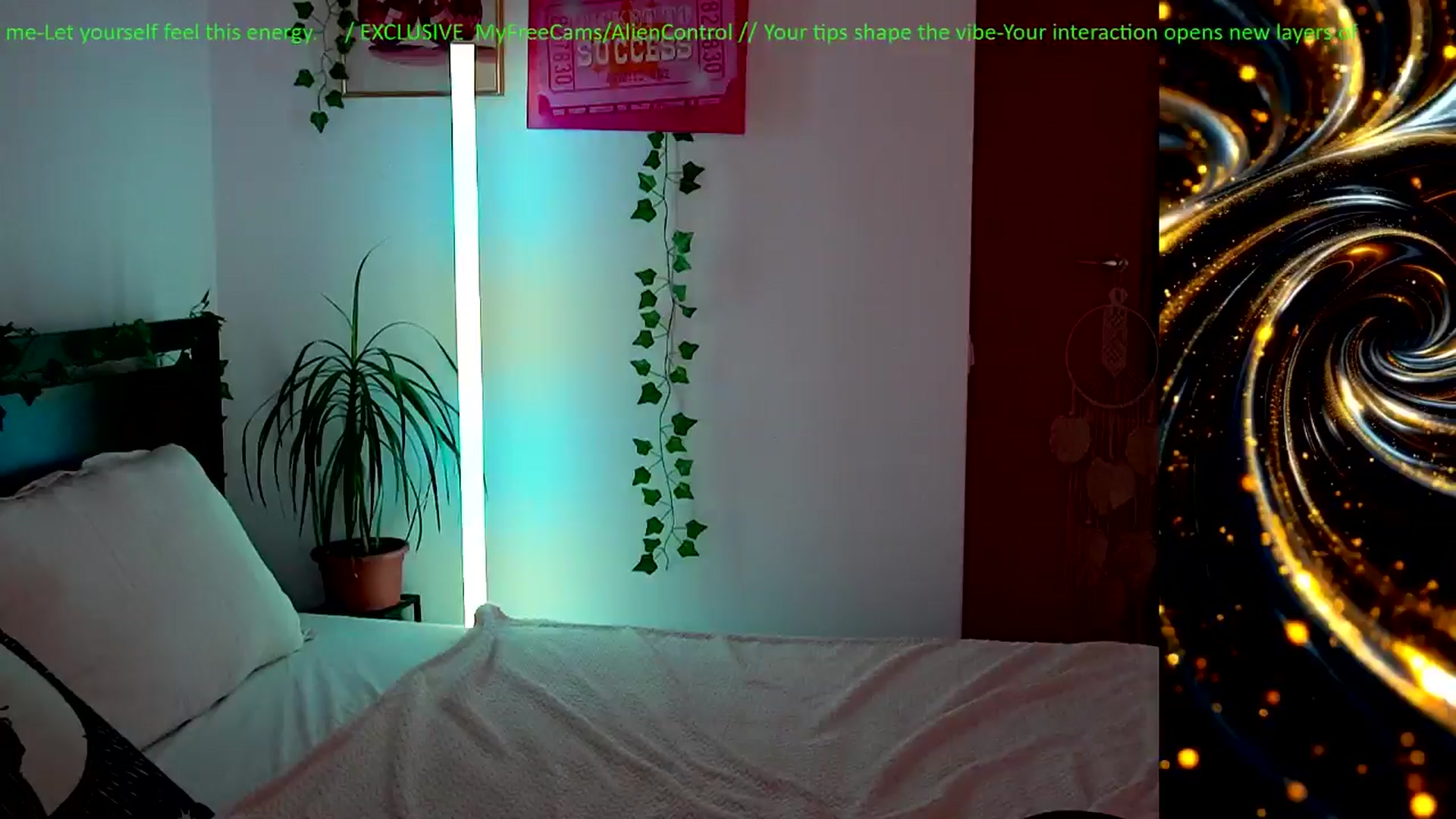 Gallery image thumbnail from AlienControl's myfreecams stream on, 02/24/2026, 17:14 image 6 of 20