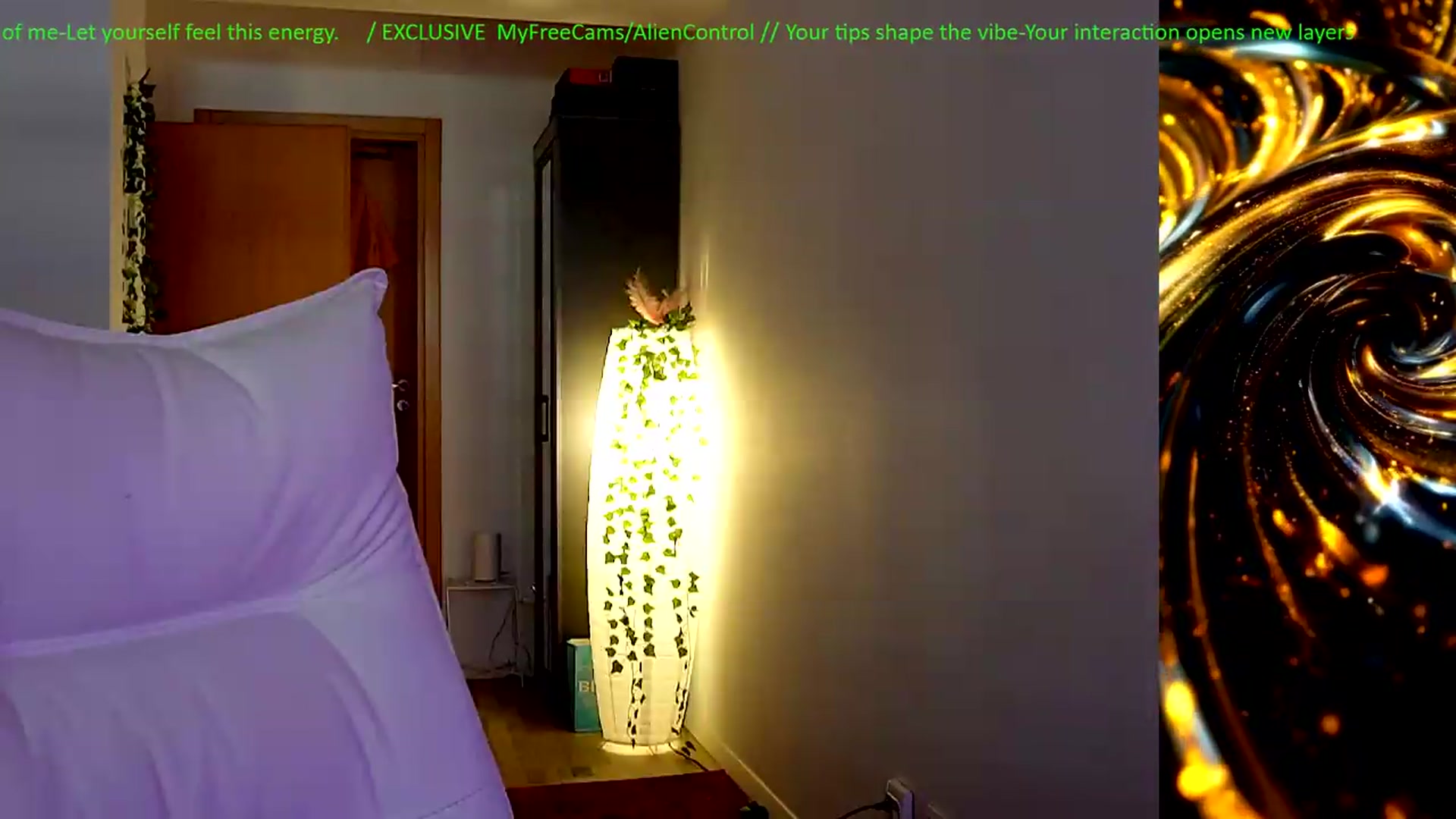 Gallery image thumbnail from AlienControl's myfreecams stream on, 05/29/2026, 14:03 image 5 of 20