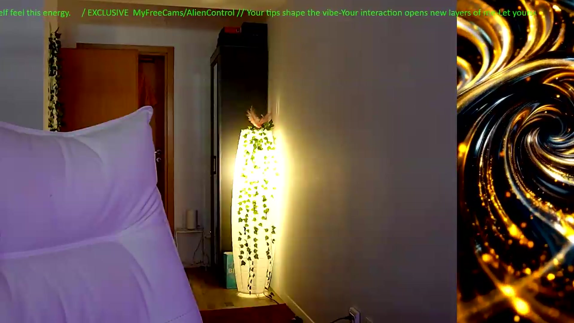 Gallery image thumbnail from AlienControl's myfreecams stream on, 05/29/2026, 14:03 image 6 of 20