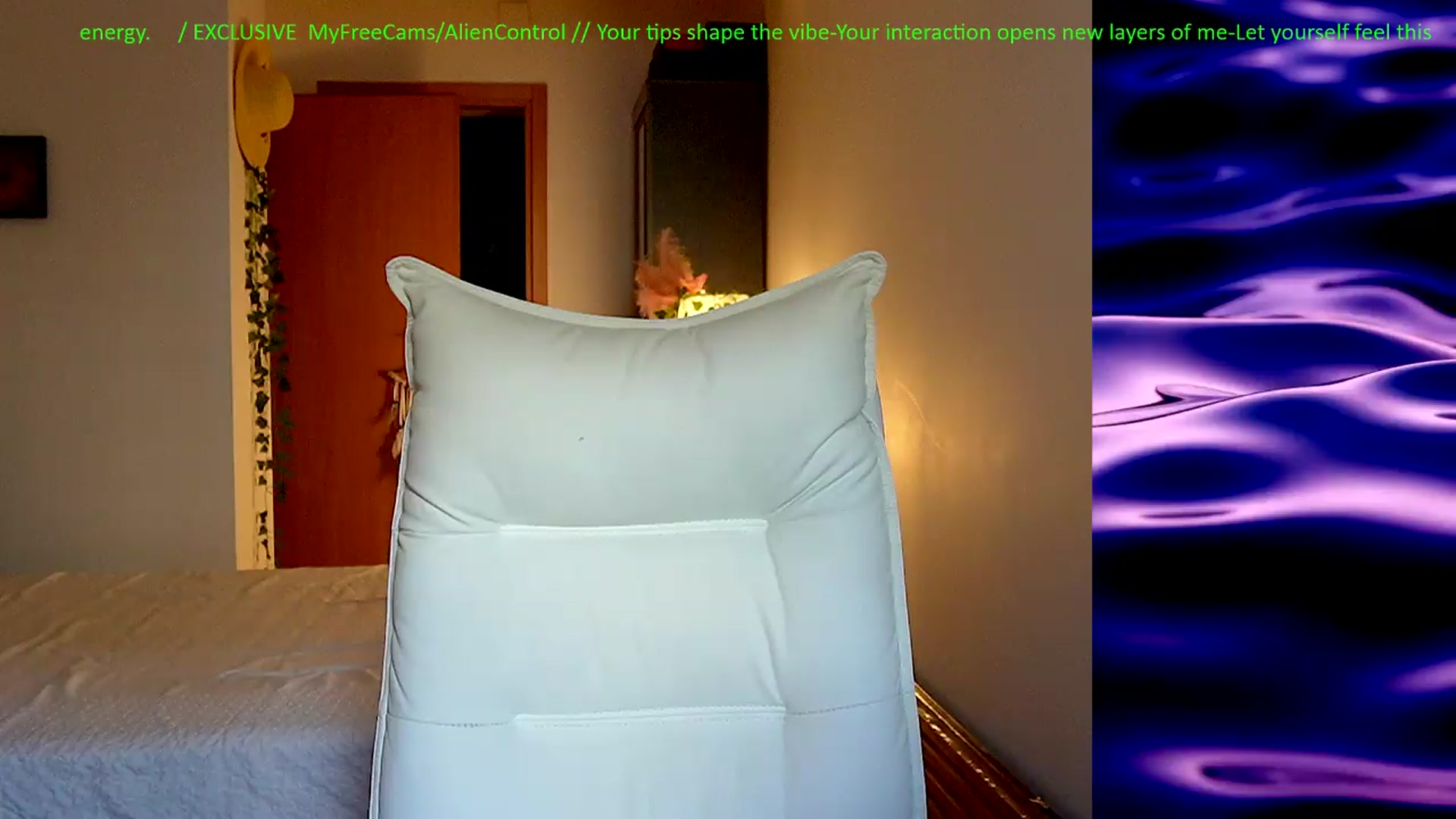 Gallery image thumbnail from AlienControl's myfreecams stream on, 06/16/2026, 14:36 image 3 of 20