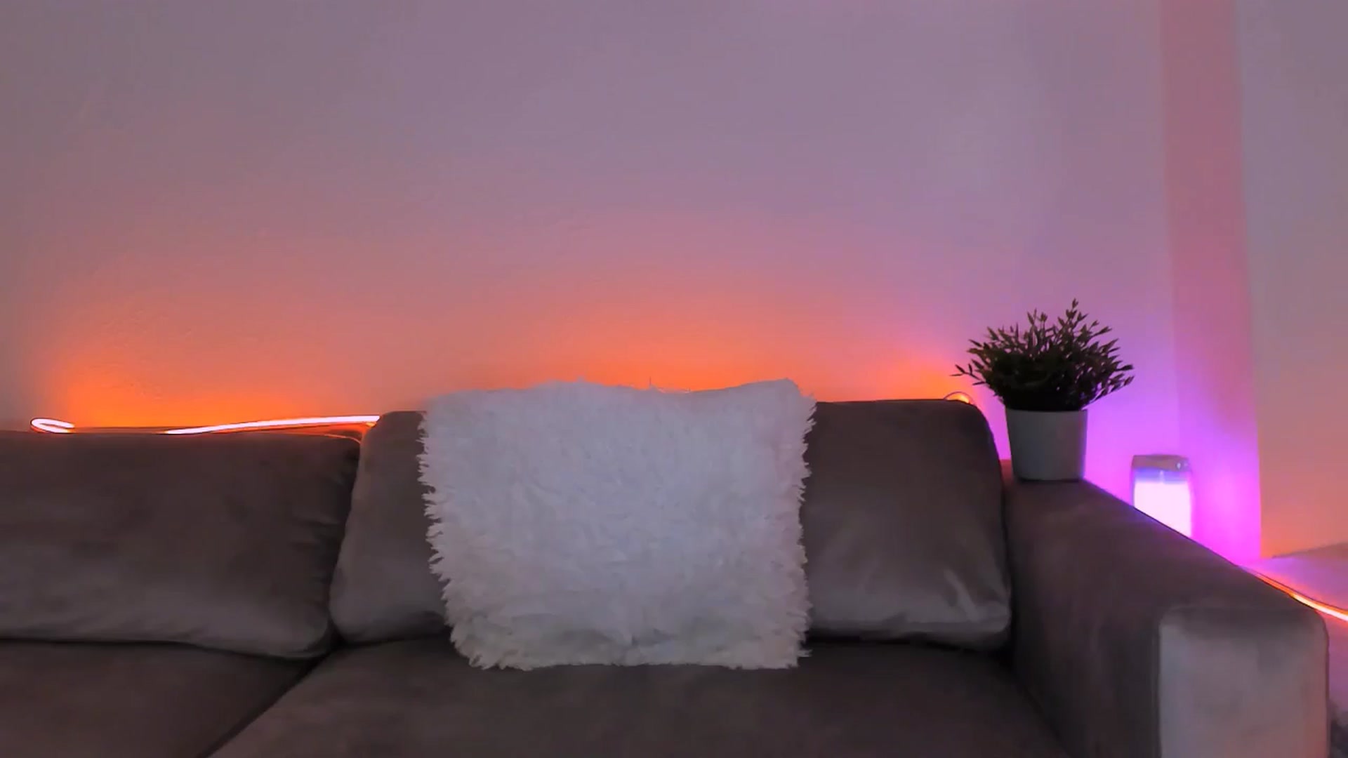 Gallery image thumbnail from Alien_Eva's myfreecams stream on, 08/26/2024, 06:37 image 7 of 20