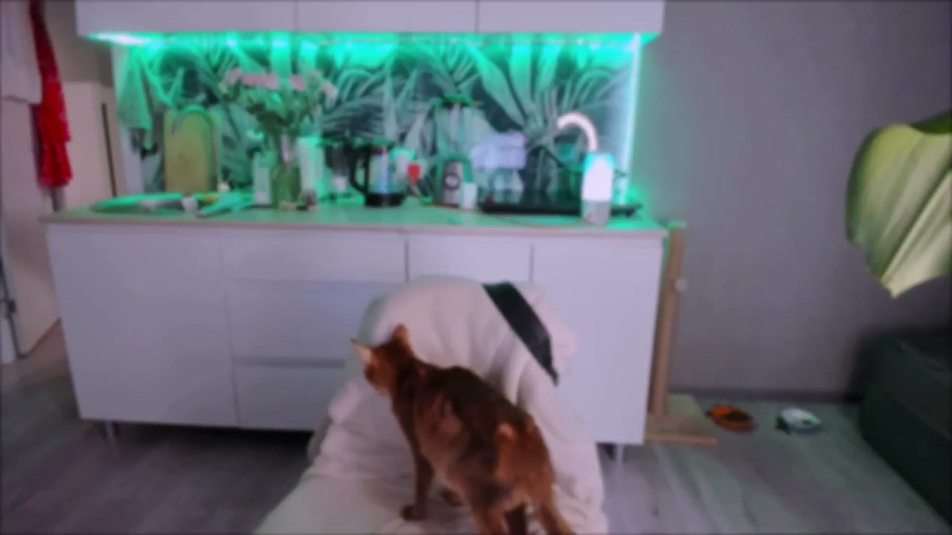 Gallery image thumbnail from Alien_Eva's myfreecams stream on, 09/09/2024, 06:36 image 13 of 20