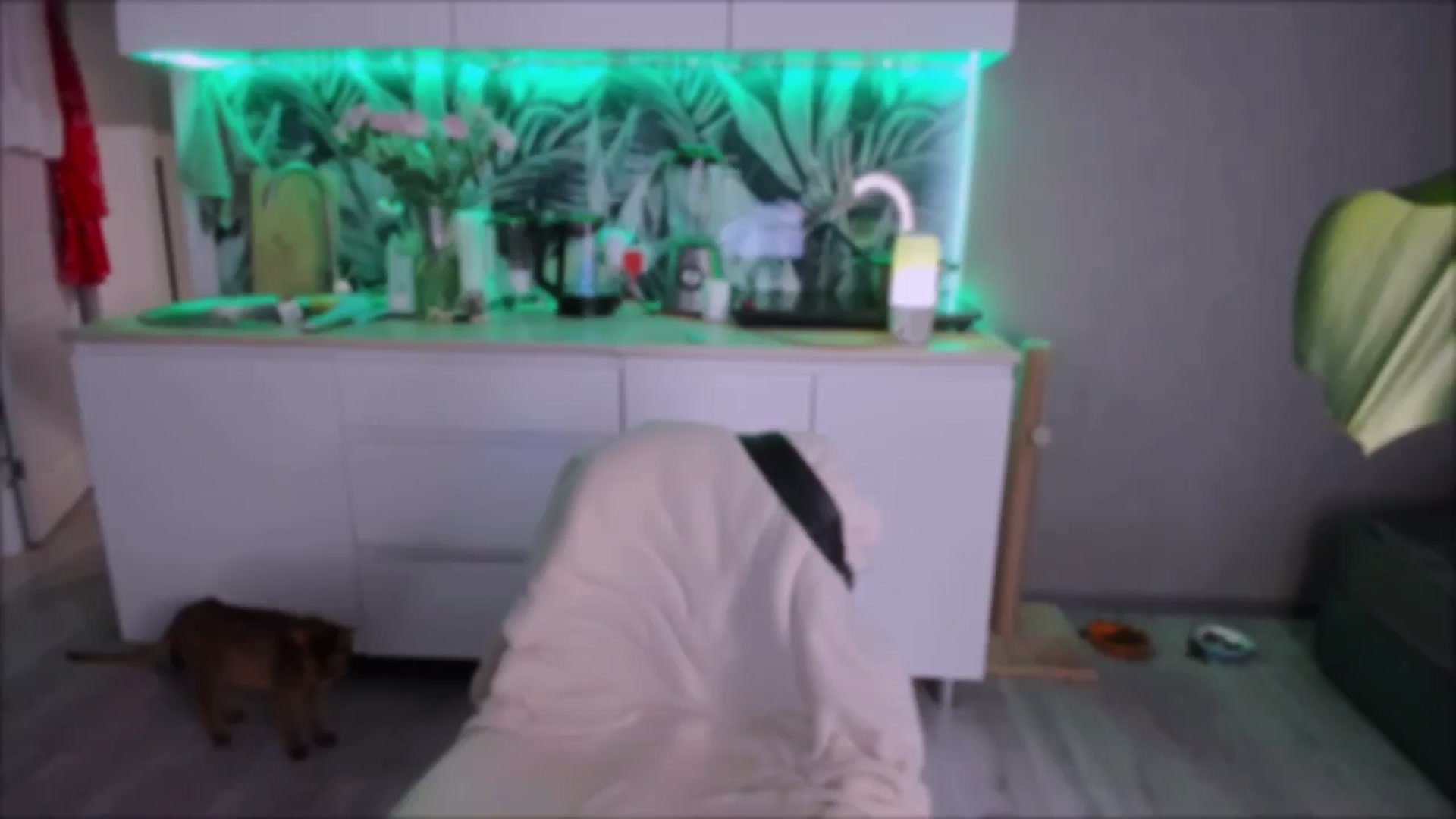 Gallery image thumbnail from Alien_Eva's myfreecams stream on, 09/09/2024, 06:36 image 12 of 20