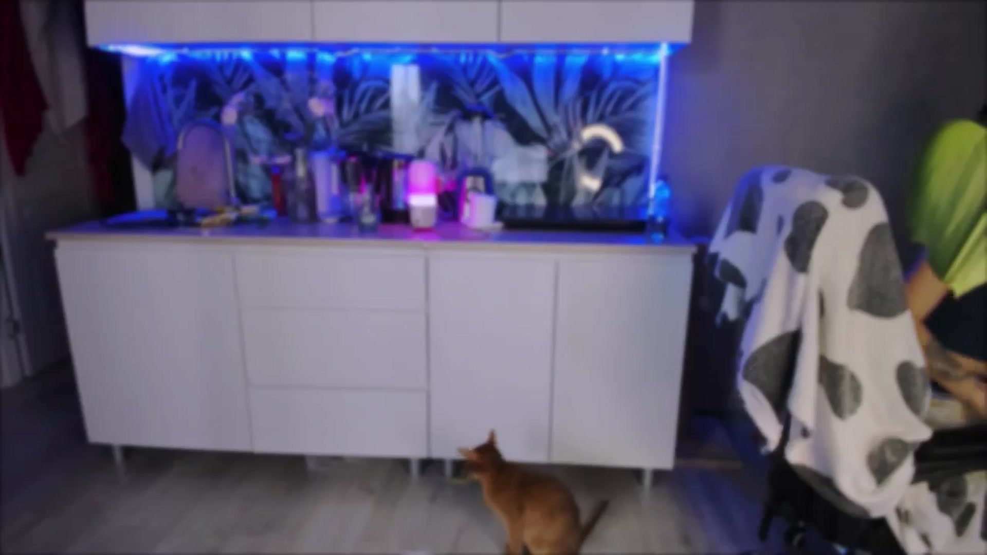 Gallery image thumbnail from Alien_Eva's myfreecams stream on, 09/13/2024, 13:04 image 10 of 20