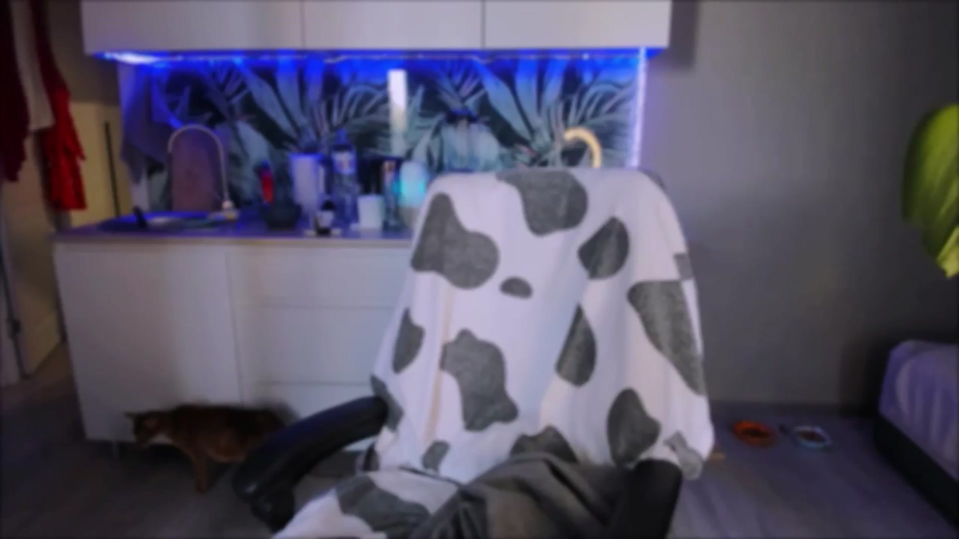 Gallery image thumbnail from Alien_Eva's myfreecams stream on, 09/17/2024, 08:34 image 13 of 20