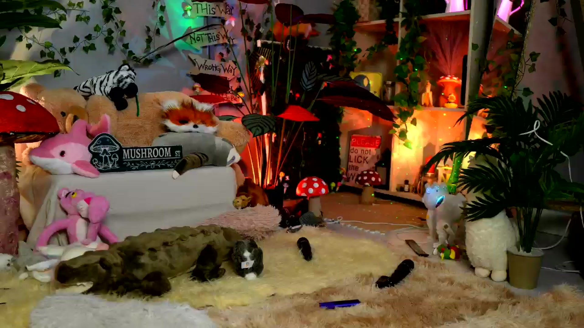 Gallery image thumbnail from Alieness_Ivy's myfreecams stream on, 04/30/2025, 03:16 image 10 of 20