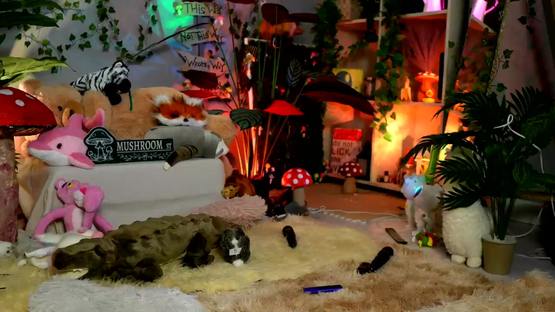 Gallery image thumbnail from Alieness_Ivy's myfreecams stream on, 04/30/2025, 03:16 image 8 of 20