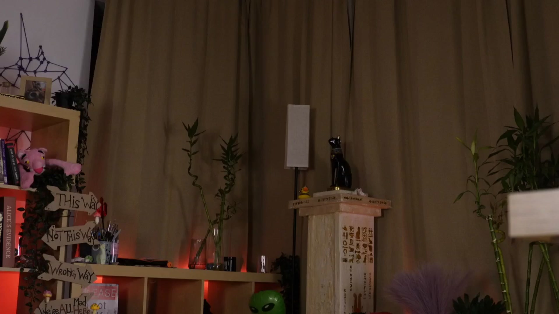 Gallery image thumbnail from Alieness_Ivy's myfreecams stream on, 09/16/2025, 19:53 image 5 of 20