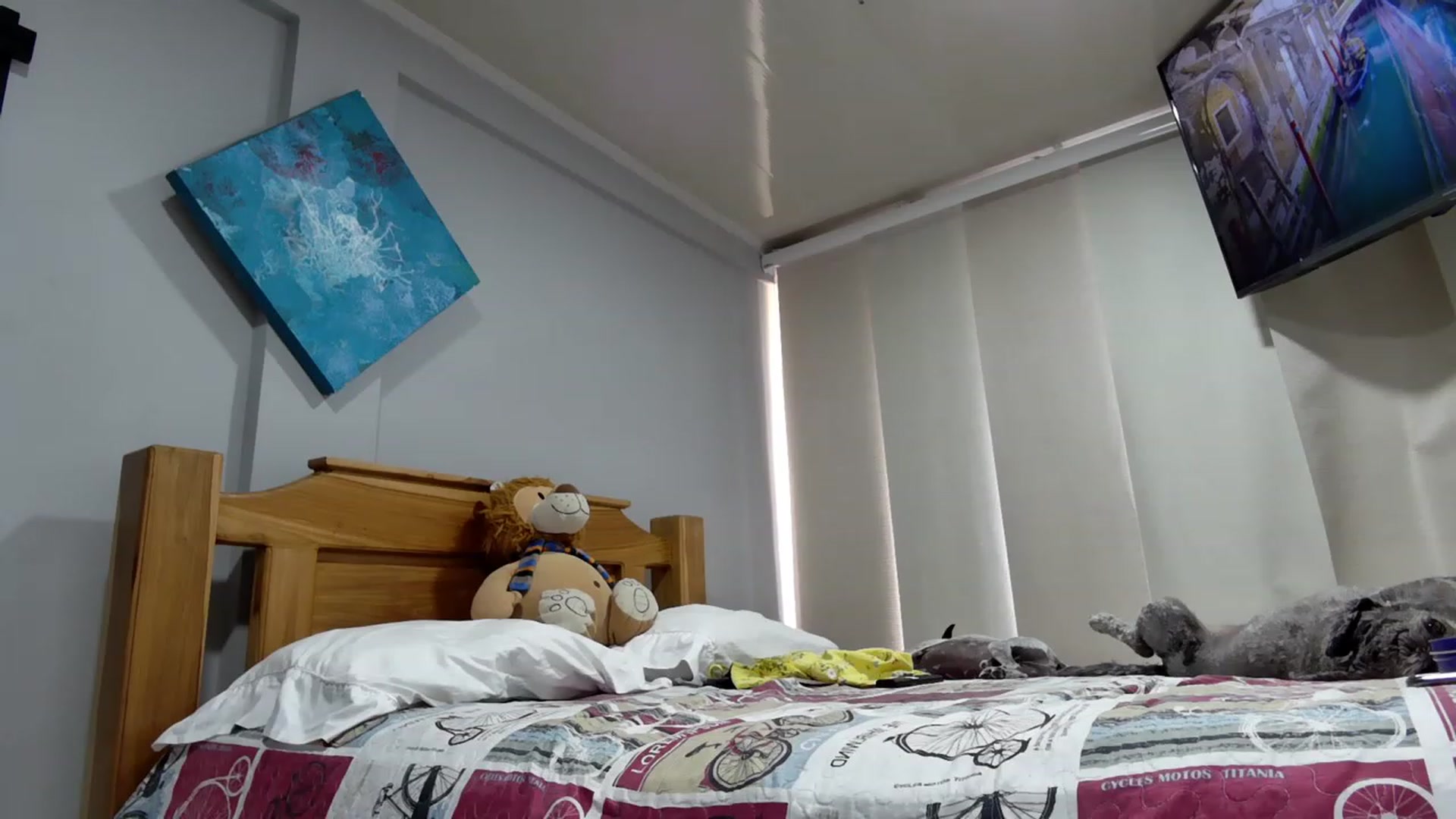 Gallery image thumbnail from Aliicia's myfreecams stream on, 06/19/2023, 19:21 image 17 of 20