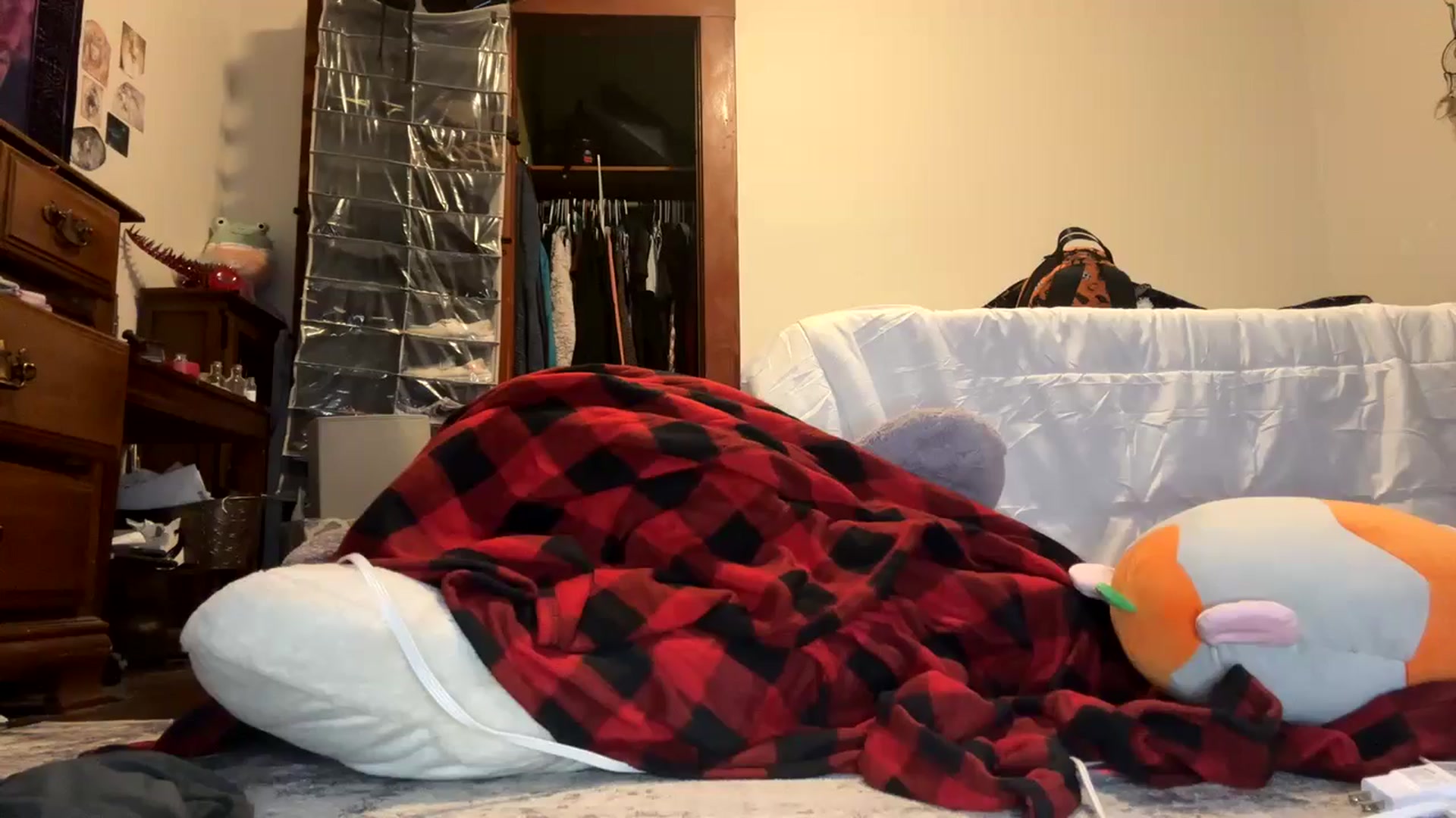 Gallery image thumbnail from Alimay's myfreecams stream on, 11/04/2024, 17:38 image 11 of 20