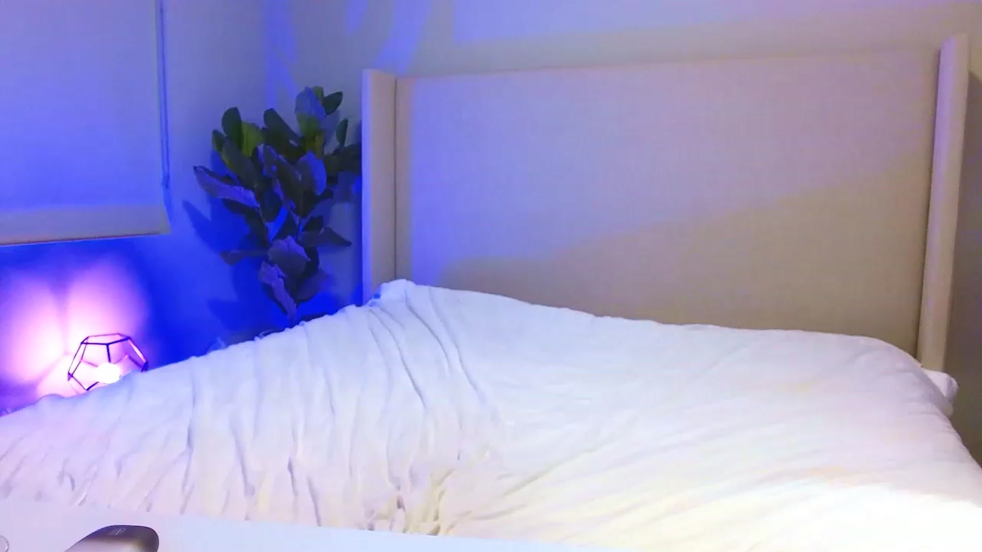Gallery image thumbnail from Alinagreyy's myfreecams stream on, 02/13/2023, 07:54 image 7 of 20