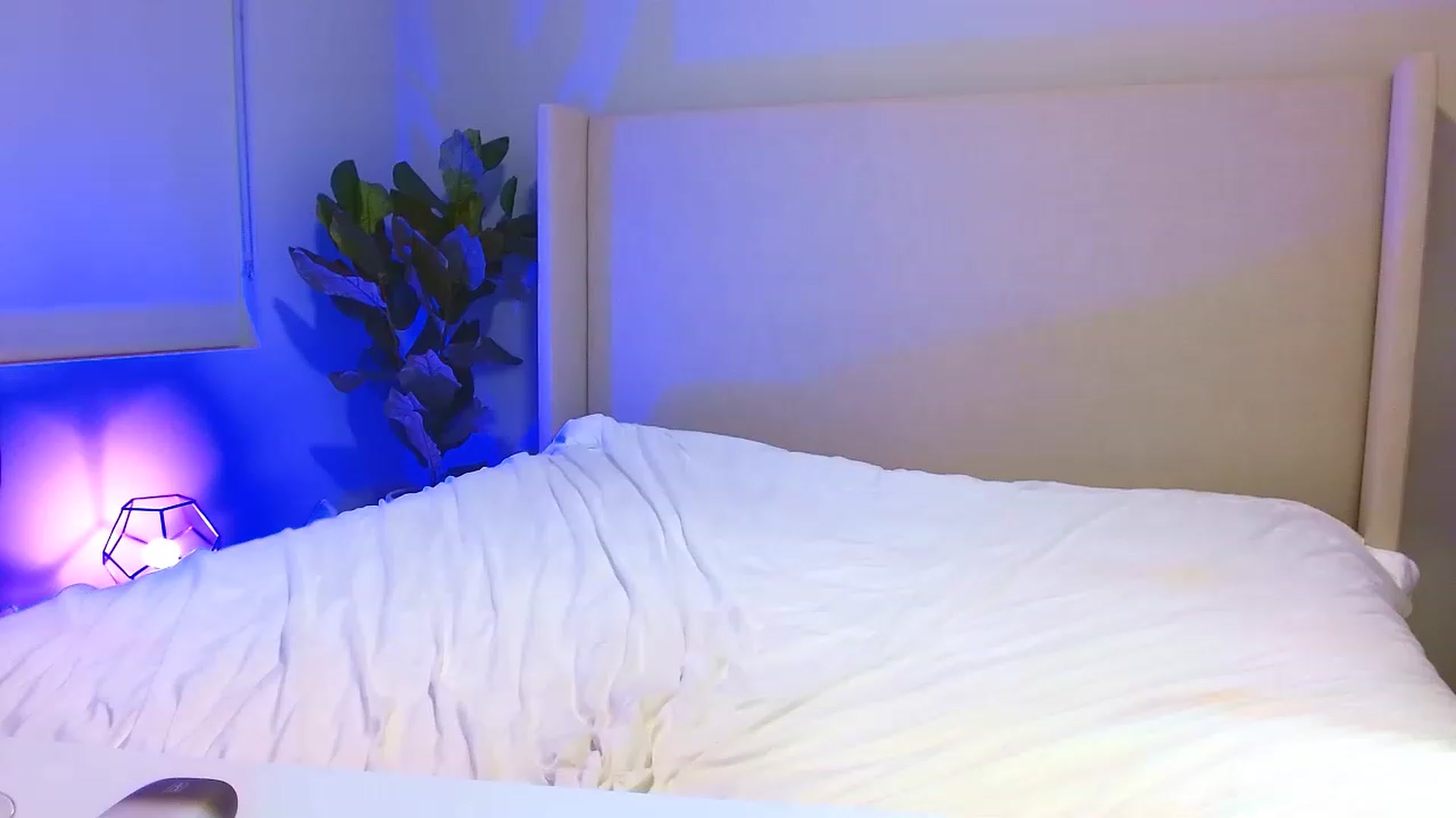 Gallery image thumbnail from Alinagreyy's myfreecams stream on, 02/13/2023, 07:54 image 17 of 20