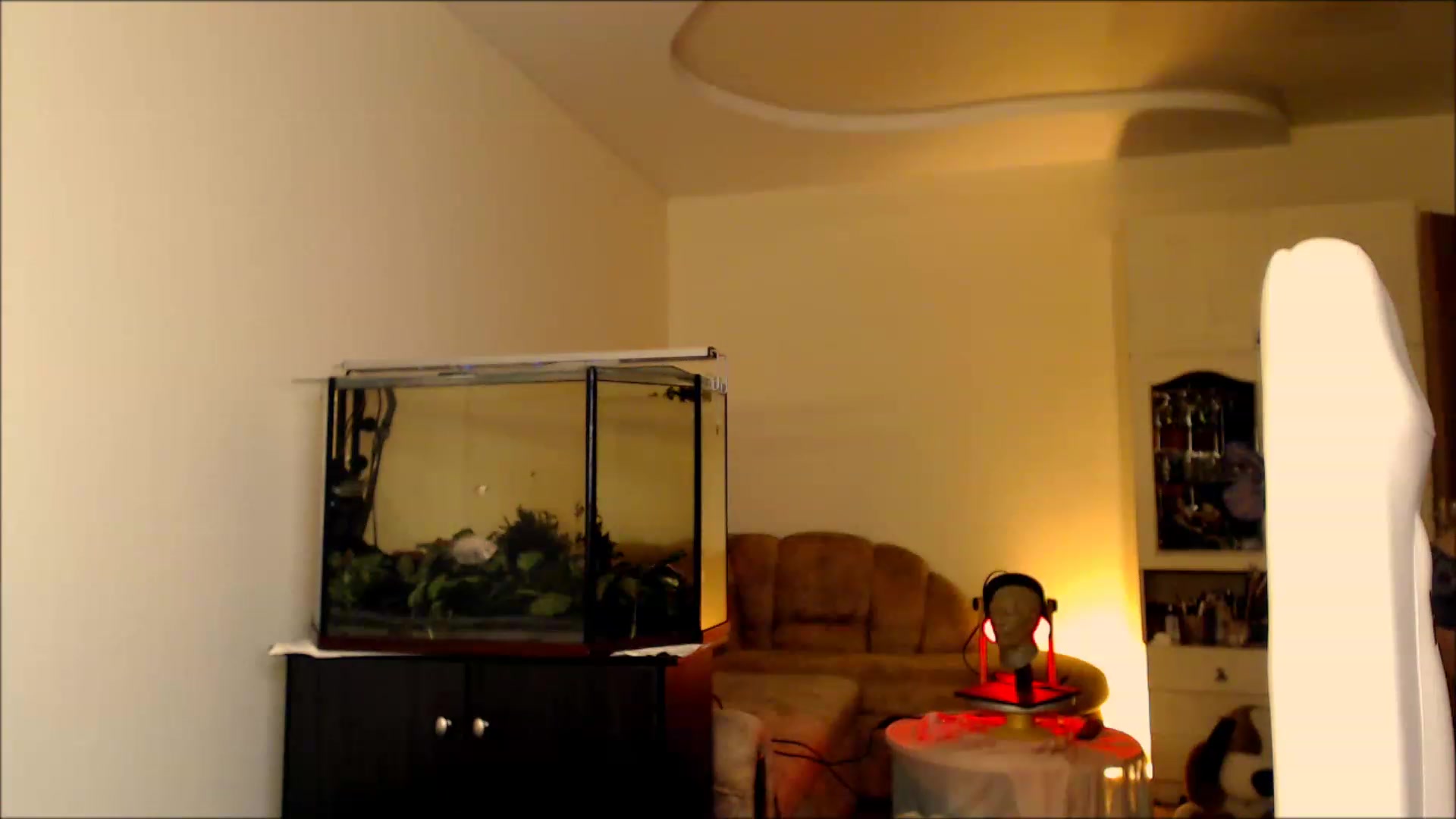 Gallery image thumbnail from Alisija_'s myfreecams stream on, 09/03/2023, 21:21 image 15 of 20