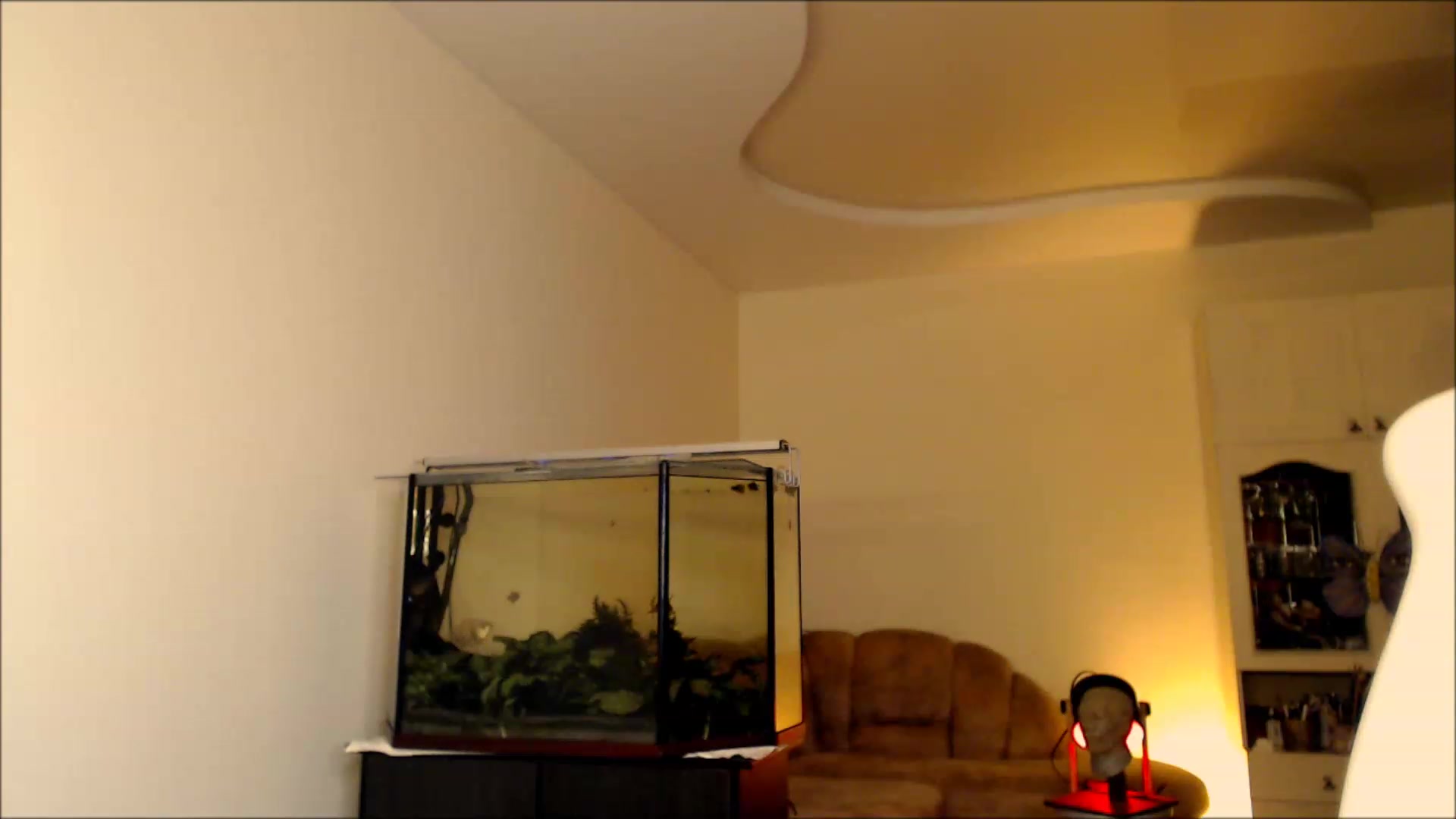 Gallery image thumbnail from Alisija_'s myfreecams stream on, 09/04/2023, 19:57 image 5 of 20