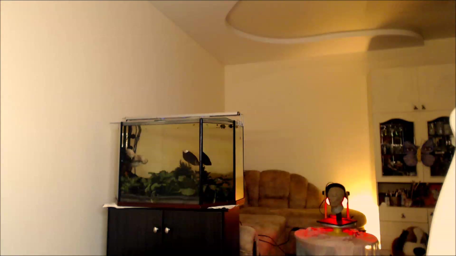 Gallery image thumbnail from Alisija_'s myfreecams stream on, 09/04/2023, 19:57 image 12 of 20