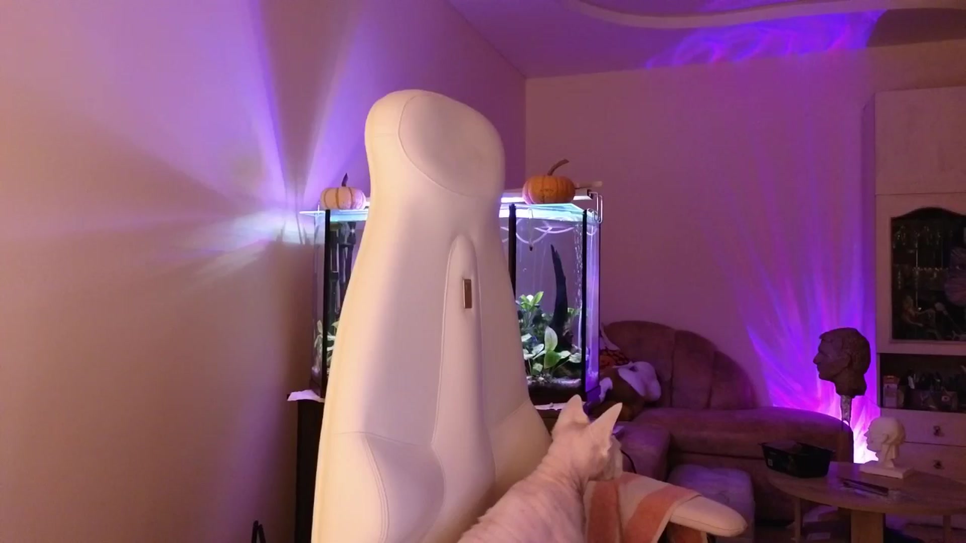 Gallery image thumbnail from Alisija_'s myfreecams stream on, 12/04/2025, 21:42 image 5 of 20