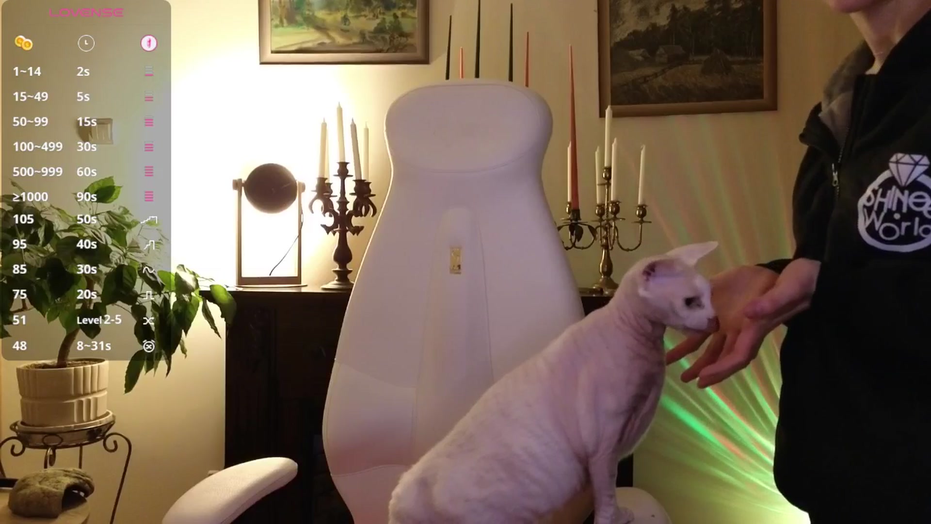 Gallery image thumbnail from Alisija_'s myfreecams stream on, 02/02/2026, 22:35 image 14 of 20