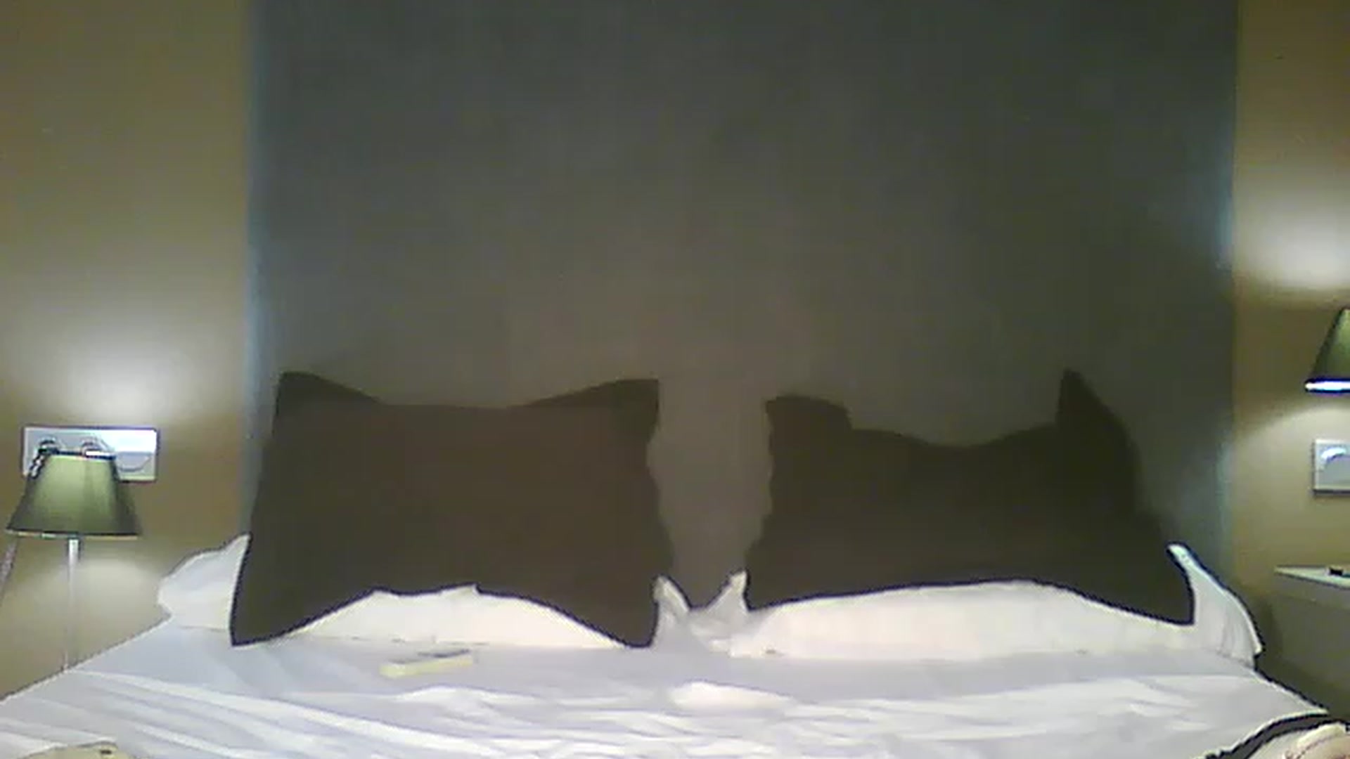 Gallery image thumbnail from AlissaMay's myfreecams stream on, 04/28/2023, 08:17 image 16 of 20