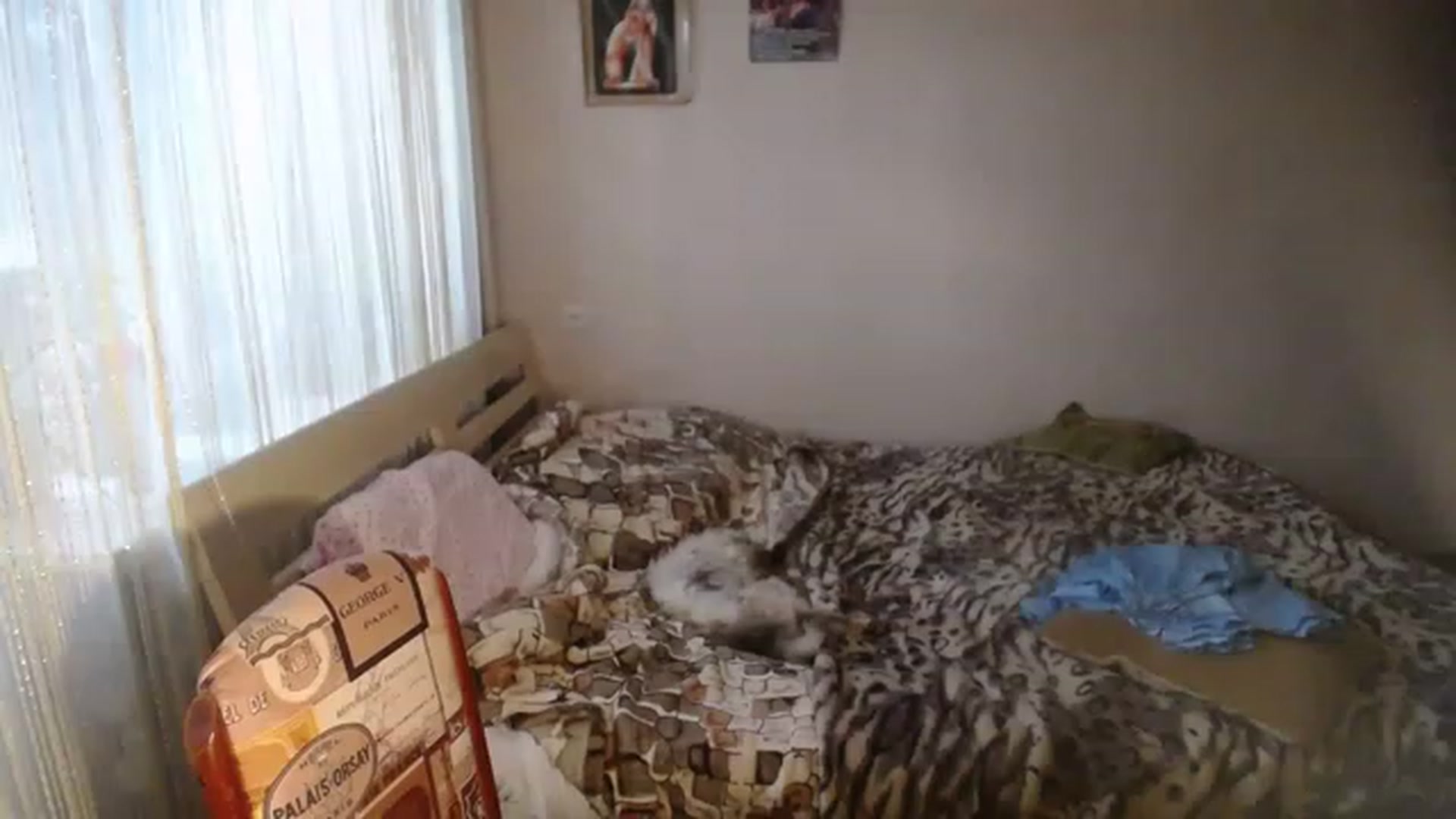 Gallery image thumbnail from AlissaMay's myfreecams stream on, 06/25/2023, 16:09 image 19 of 20