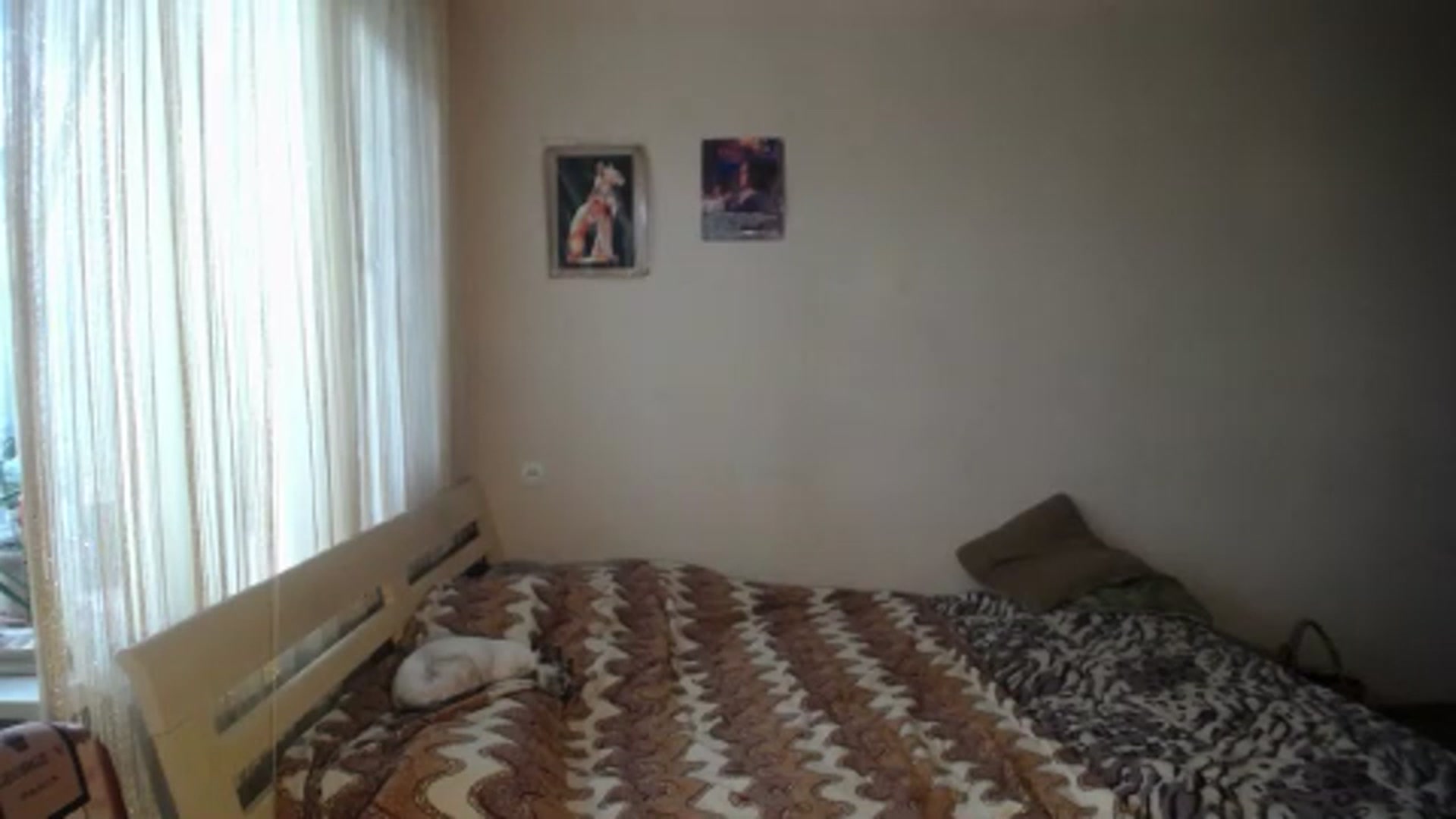 Gallery image thumbnail from AlissaMay's myfreecams stream on, 07/11/2023, 09:53 image 7 of 20