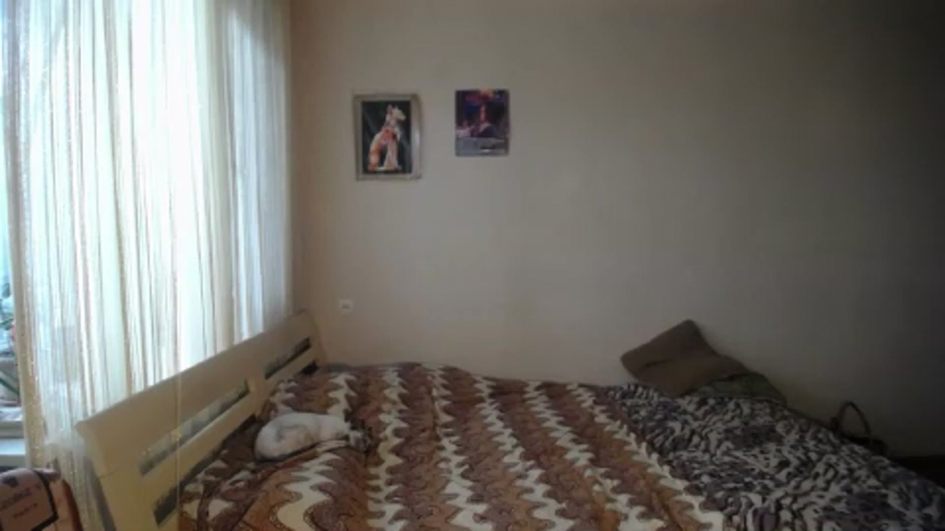 Gallery image thumbnail from AlissaMay's myfreecams stream on, 07/11/2023, 09:53 image 8 of 20