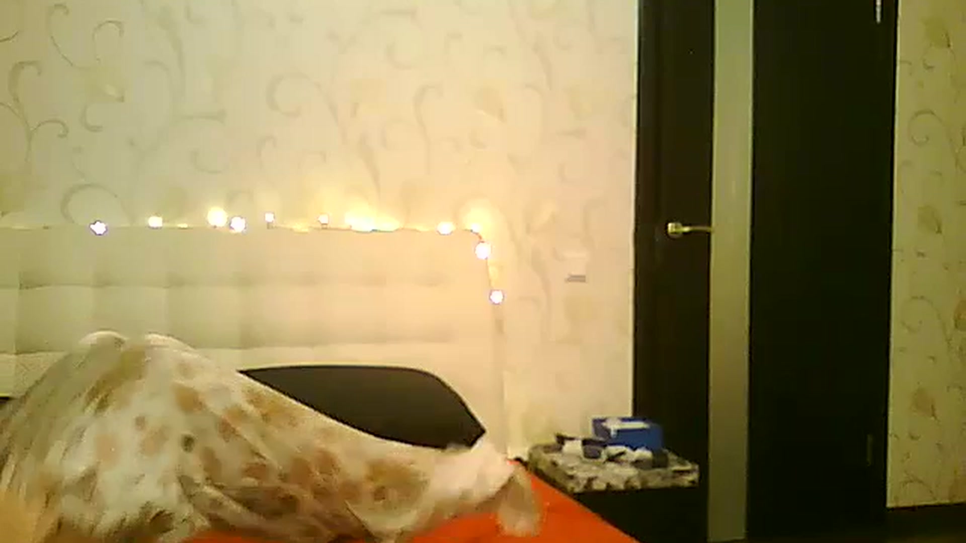 Gallery image thumbnail from AlissaMay's myfreecams stream on, 11/27/2023, 15:28 image 12 of 20